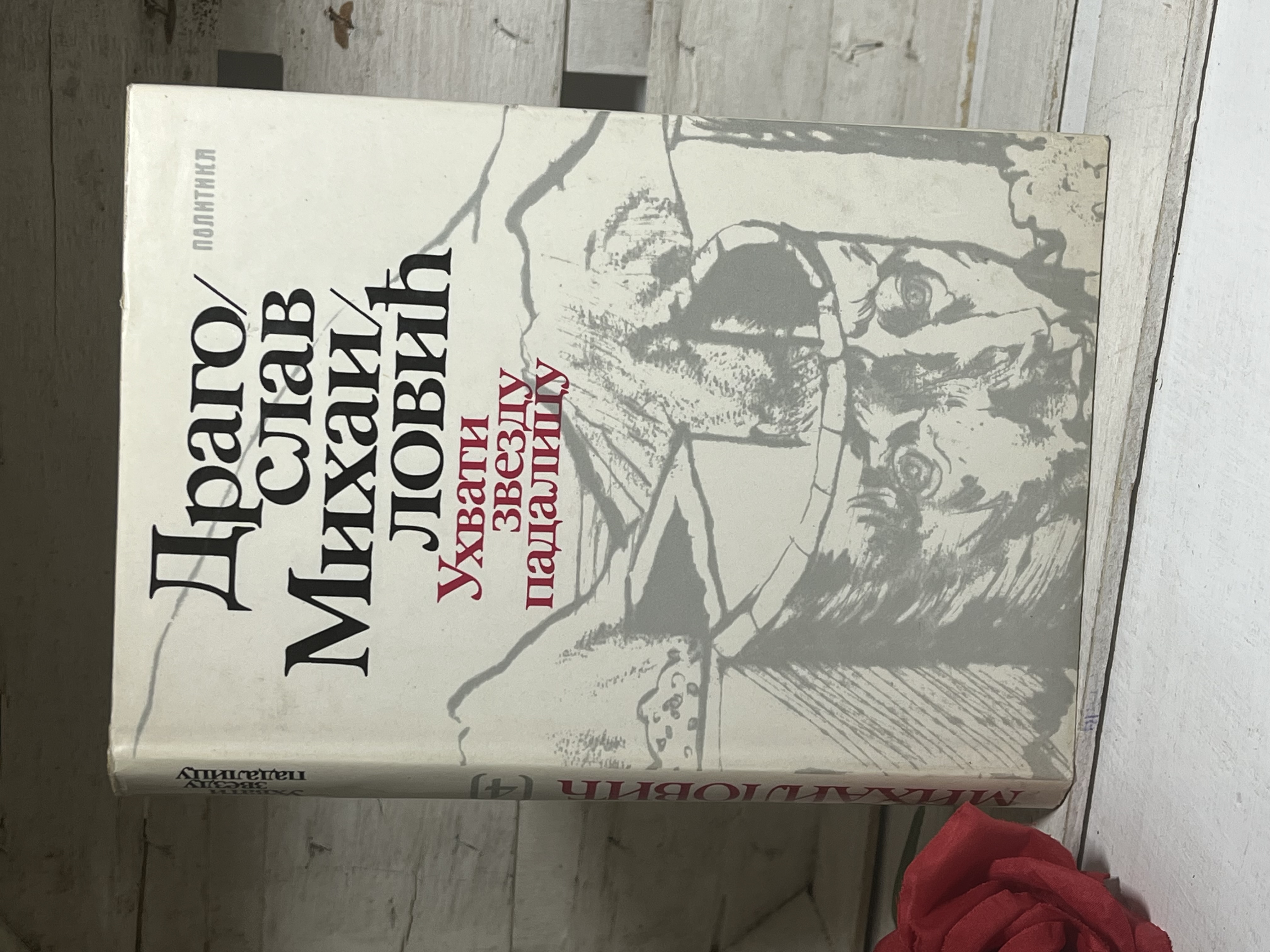 Uhvati zvezdu padalicu — Dragoslav Mihailović