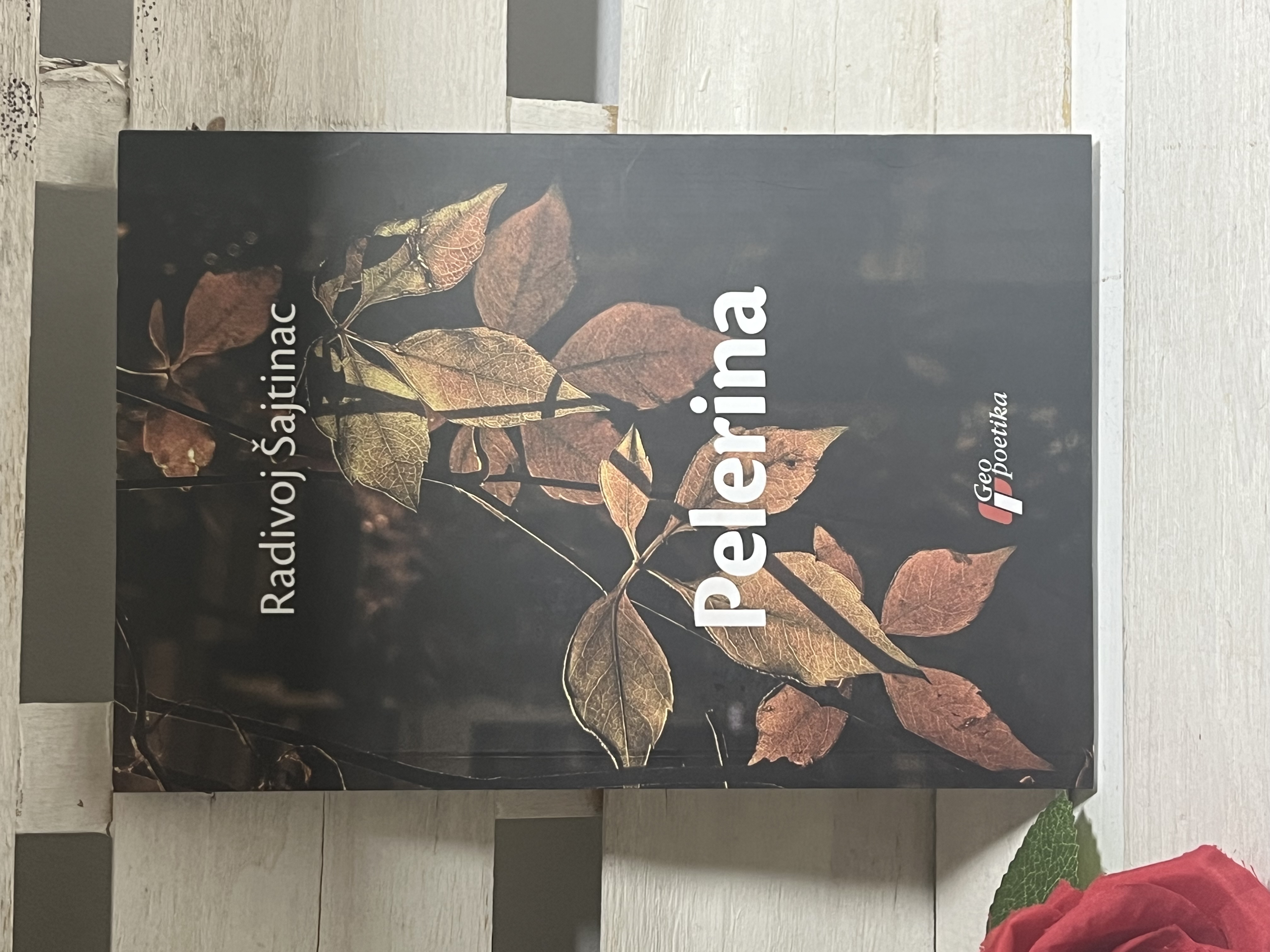 PELERINA — RADIVOJ ŠAJTINAC
