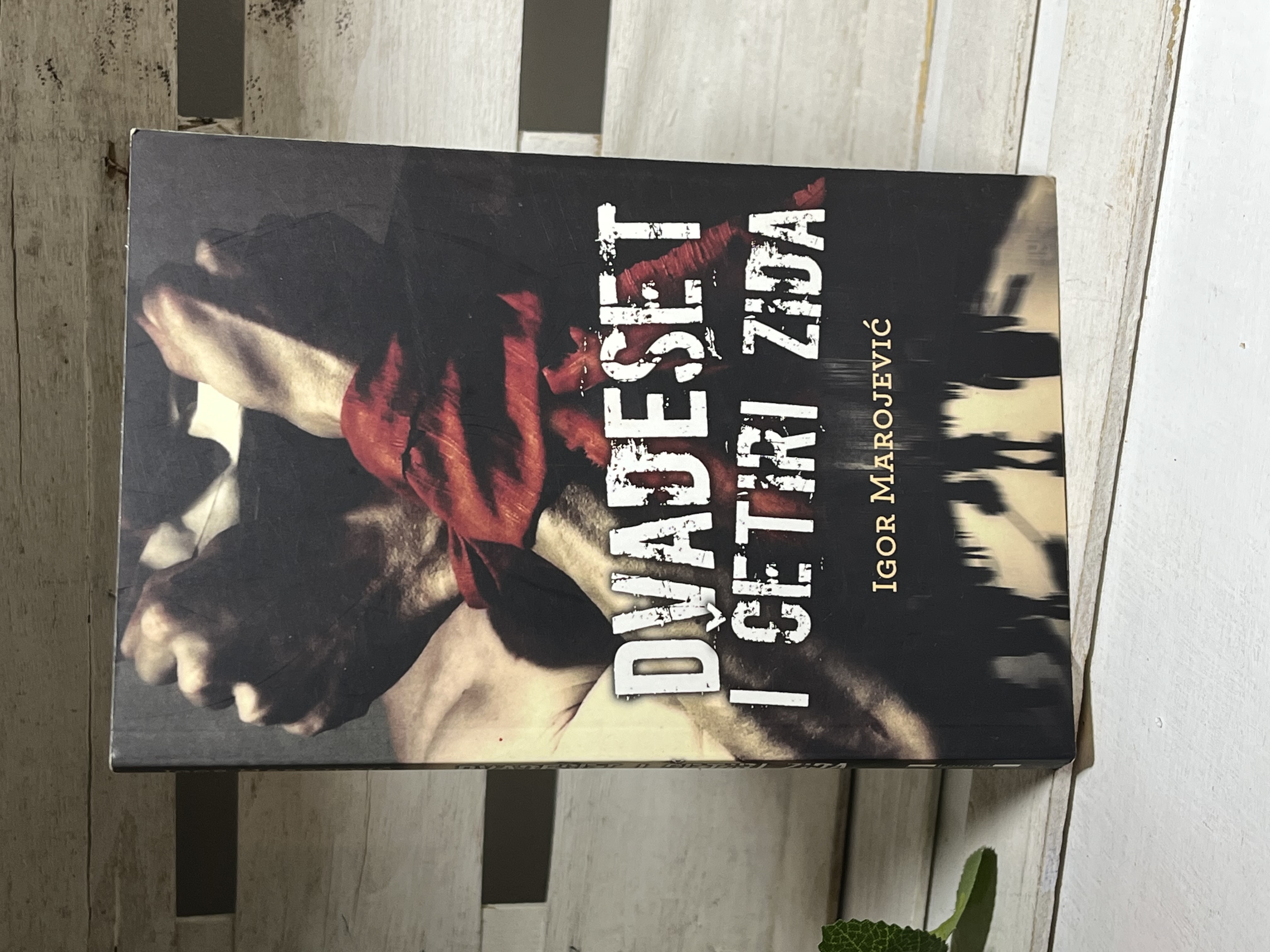 Dvadeset i četiri zida — Igor Marojević