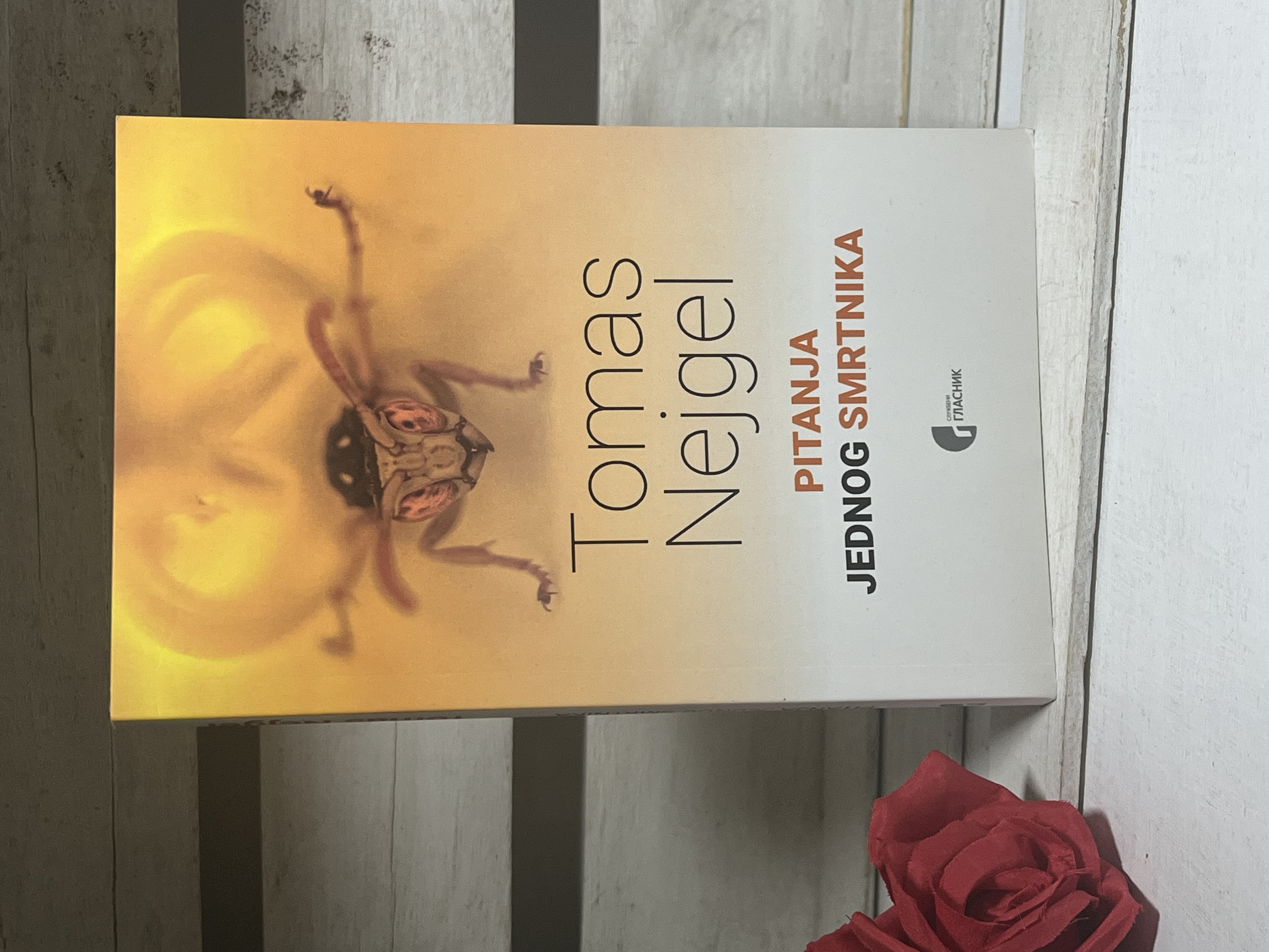 PITANJA JEDNOG SMRTNIKA — Tomas Nejgel
