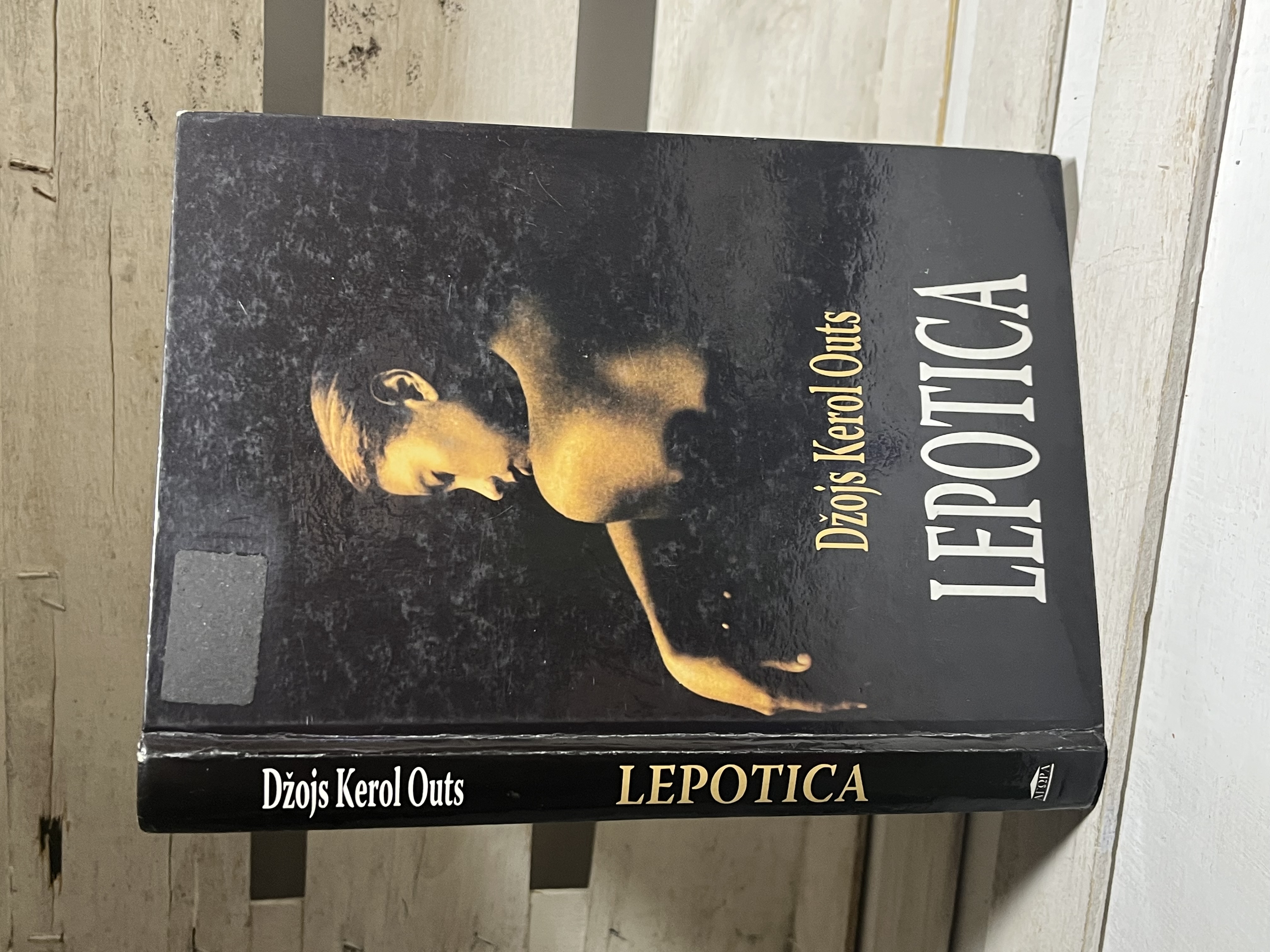 LEPOTICA — Džojs Kerol Outs