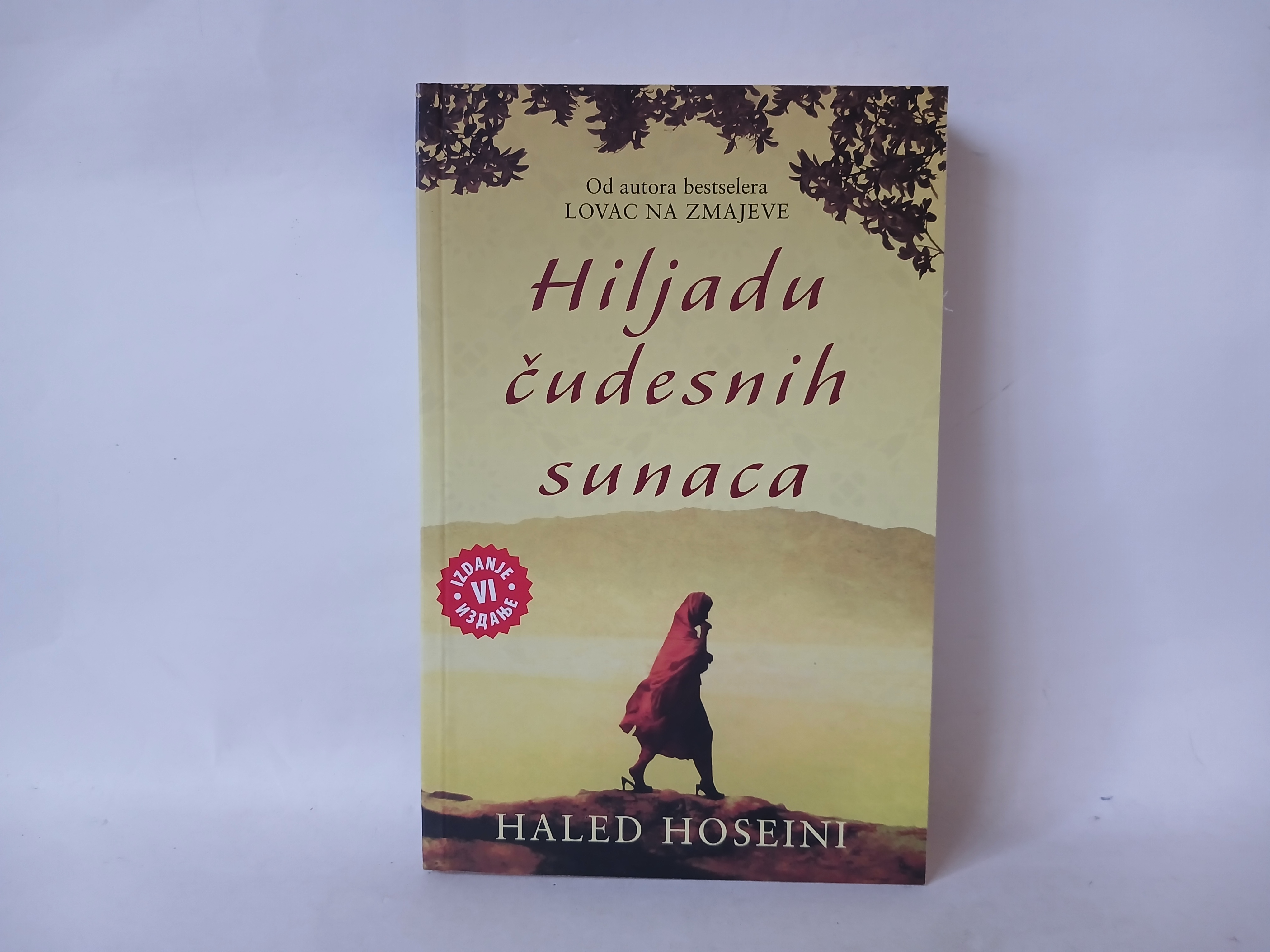 HILJADU ČUDESNIH SUNACA Haled Hoseini — Haled Hoseini