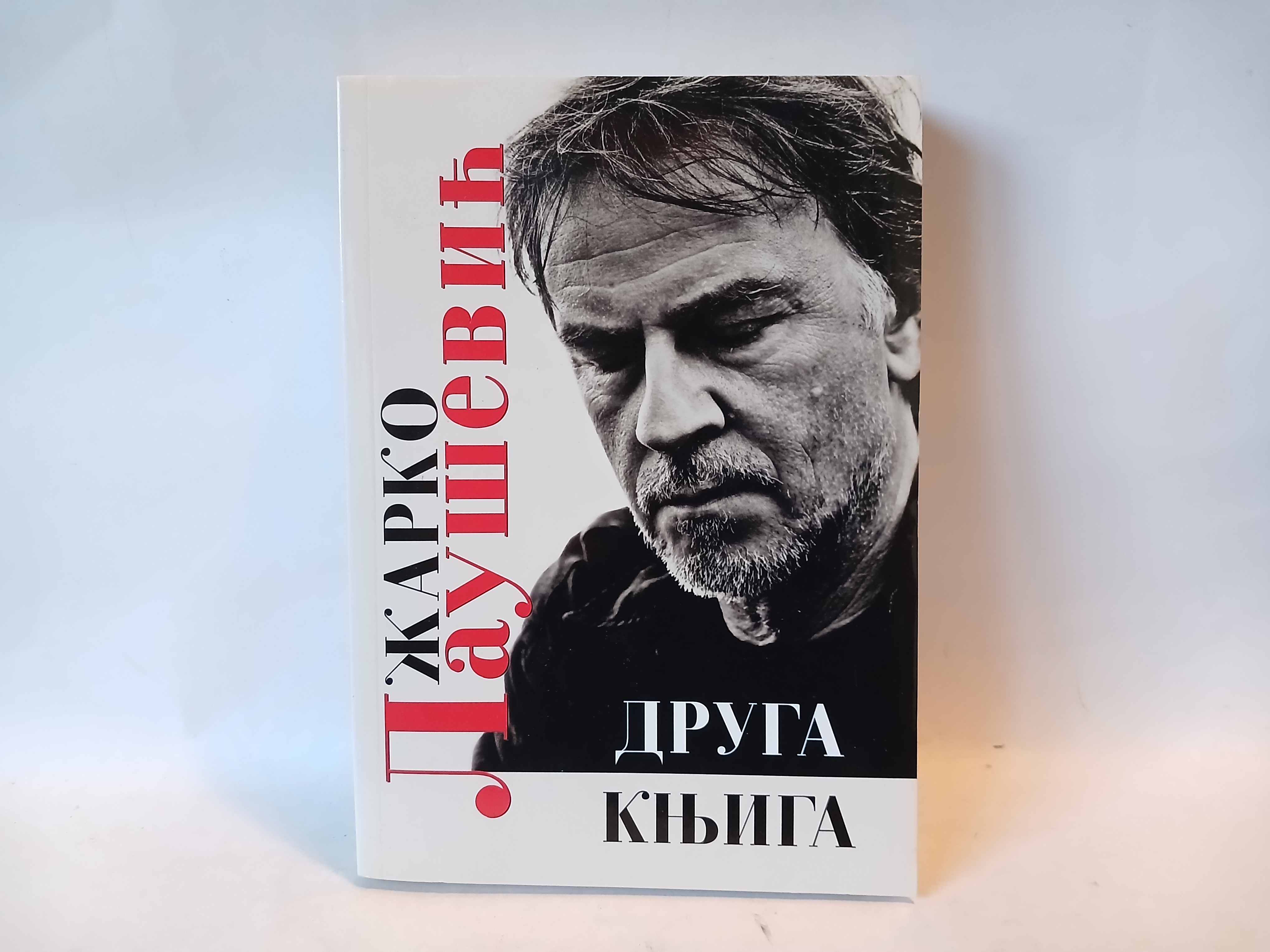 DRUGA KNJIGA Dnevnik jedne robije - Žarko Laušević — Žarko Laušević