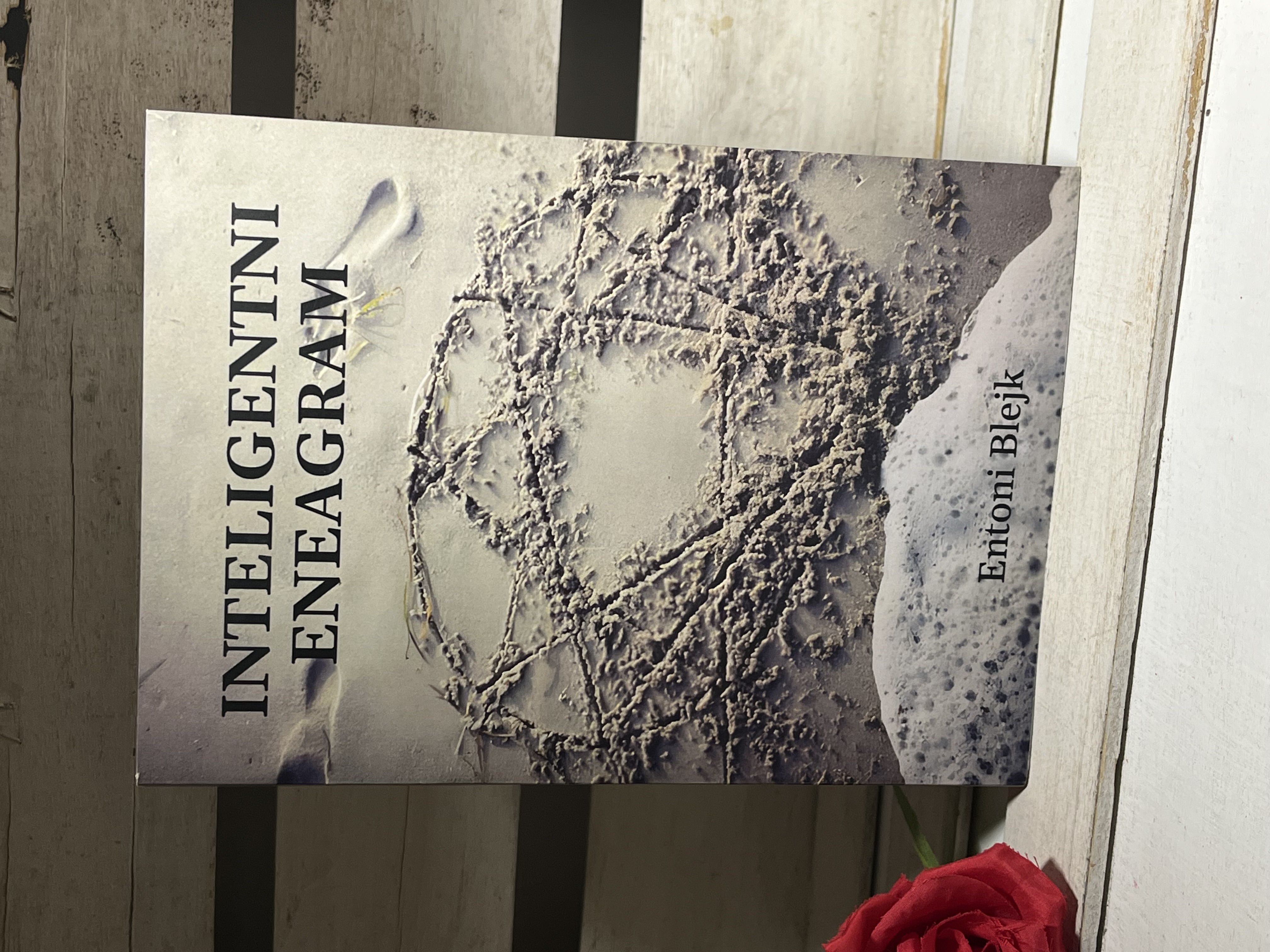Entoni Blejk - Inteligentni eneagram RETKO — Entoni Blejk, polovna knjiga