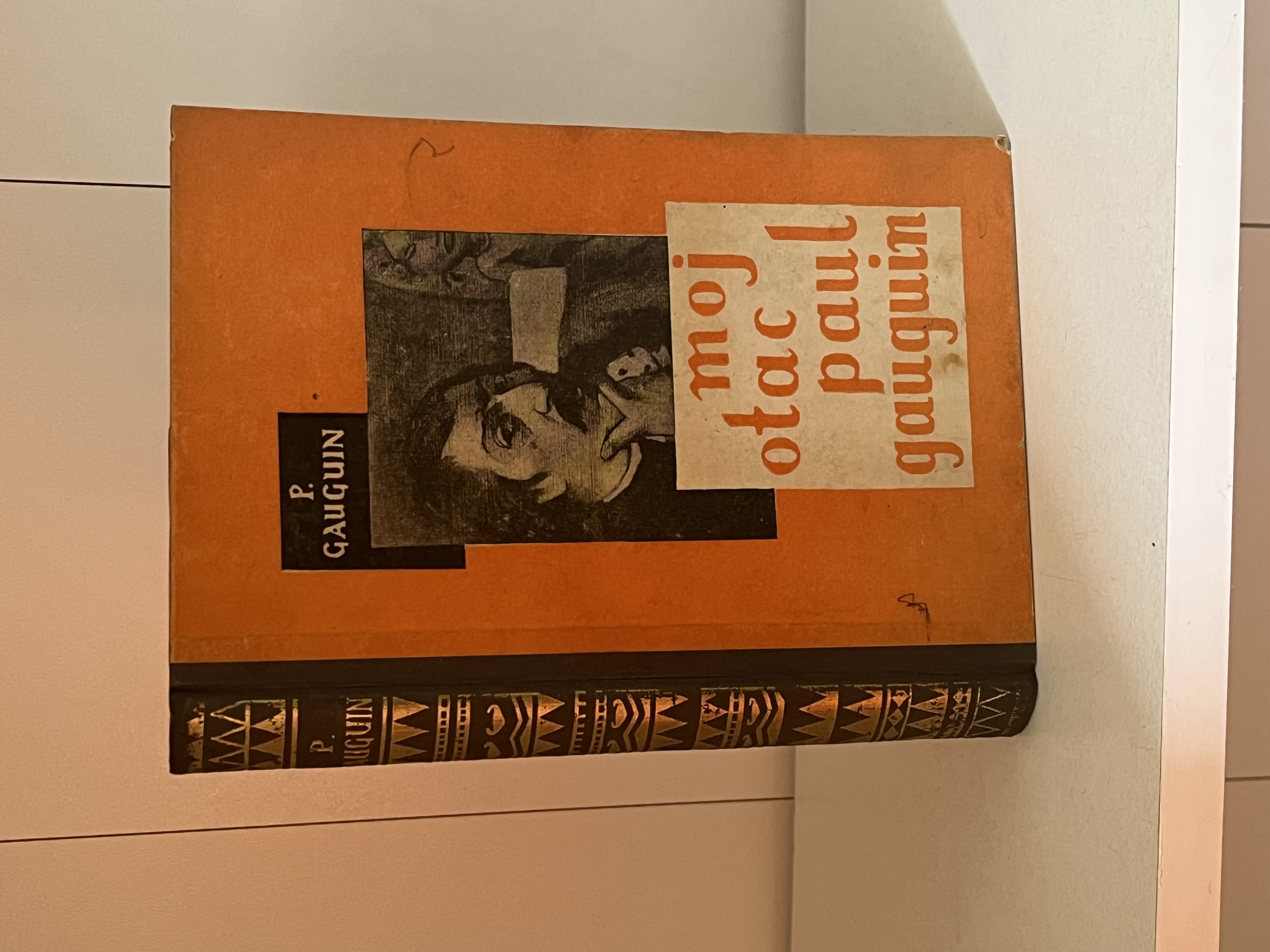Moj otac Paul Gauguin,Pola Gauguin — Pola Gauguin, polovna knjiga
