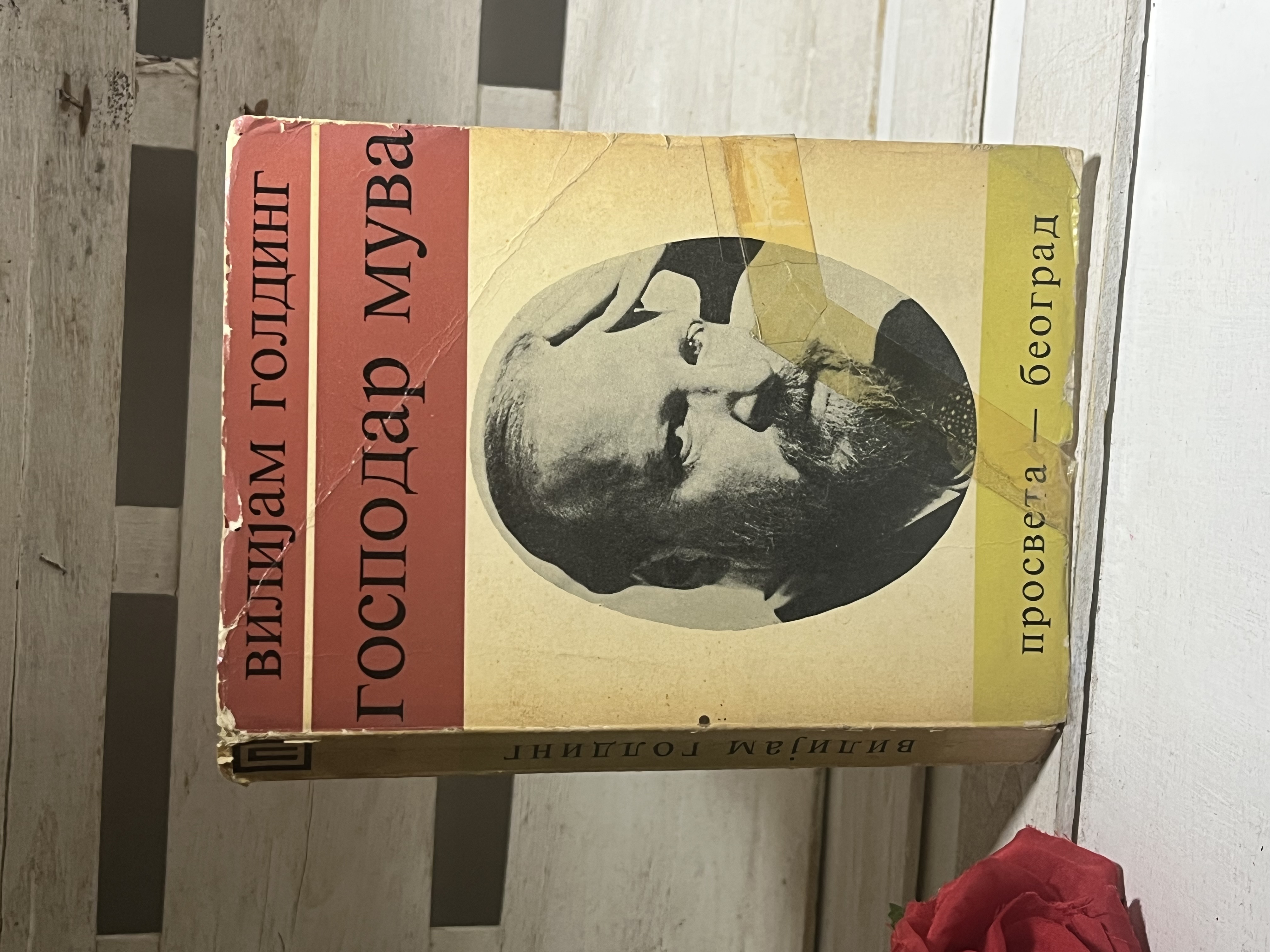 VILIJAM GOLDING GOSPODAR MUVA — VILIJAM GOLDING, polovna knjiga