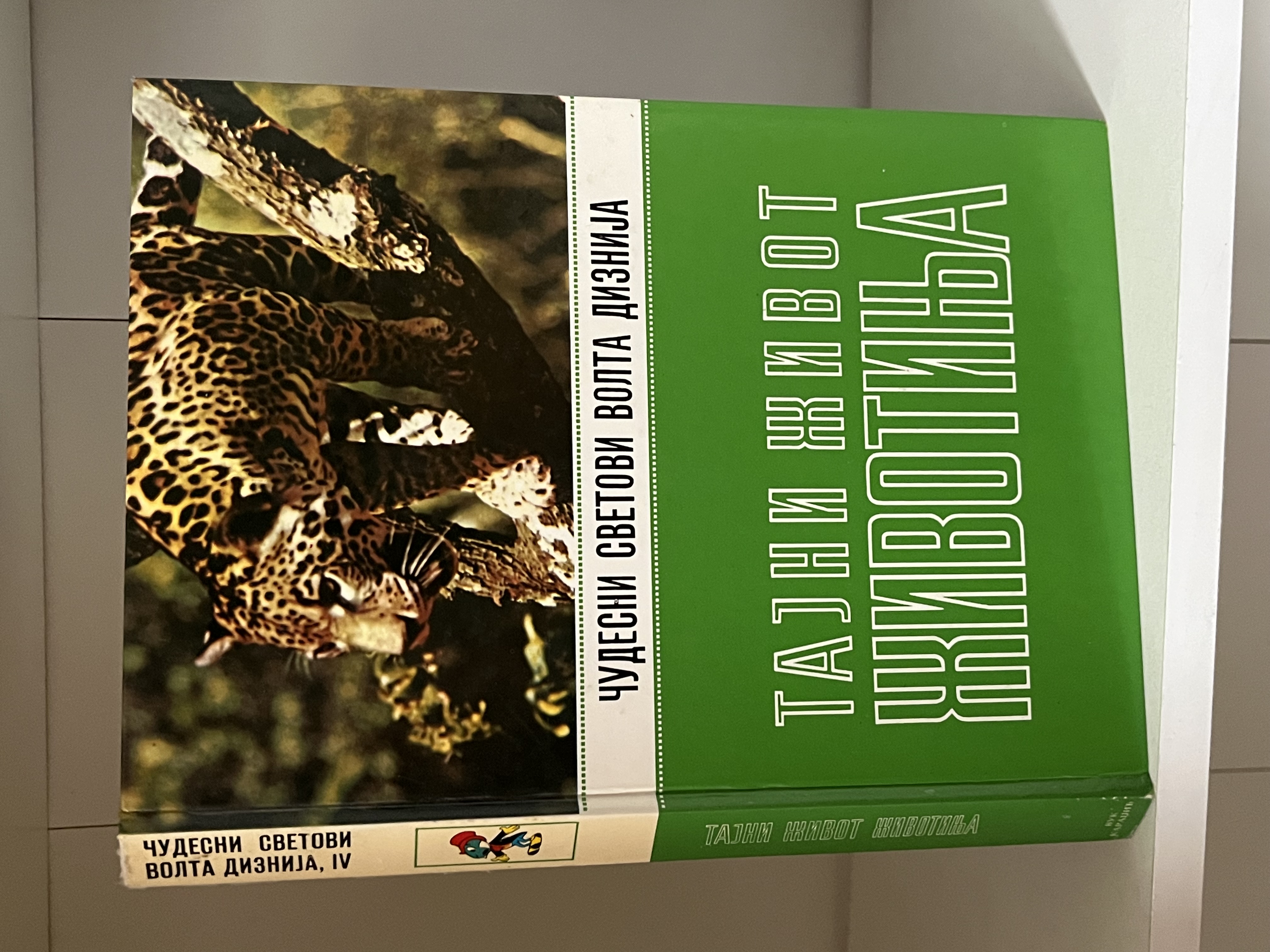 Čudesni svetovi Volta Diznija - Tajni život životinja, polovna knjiga