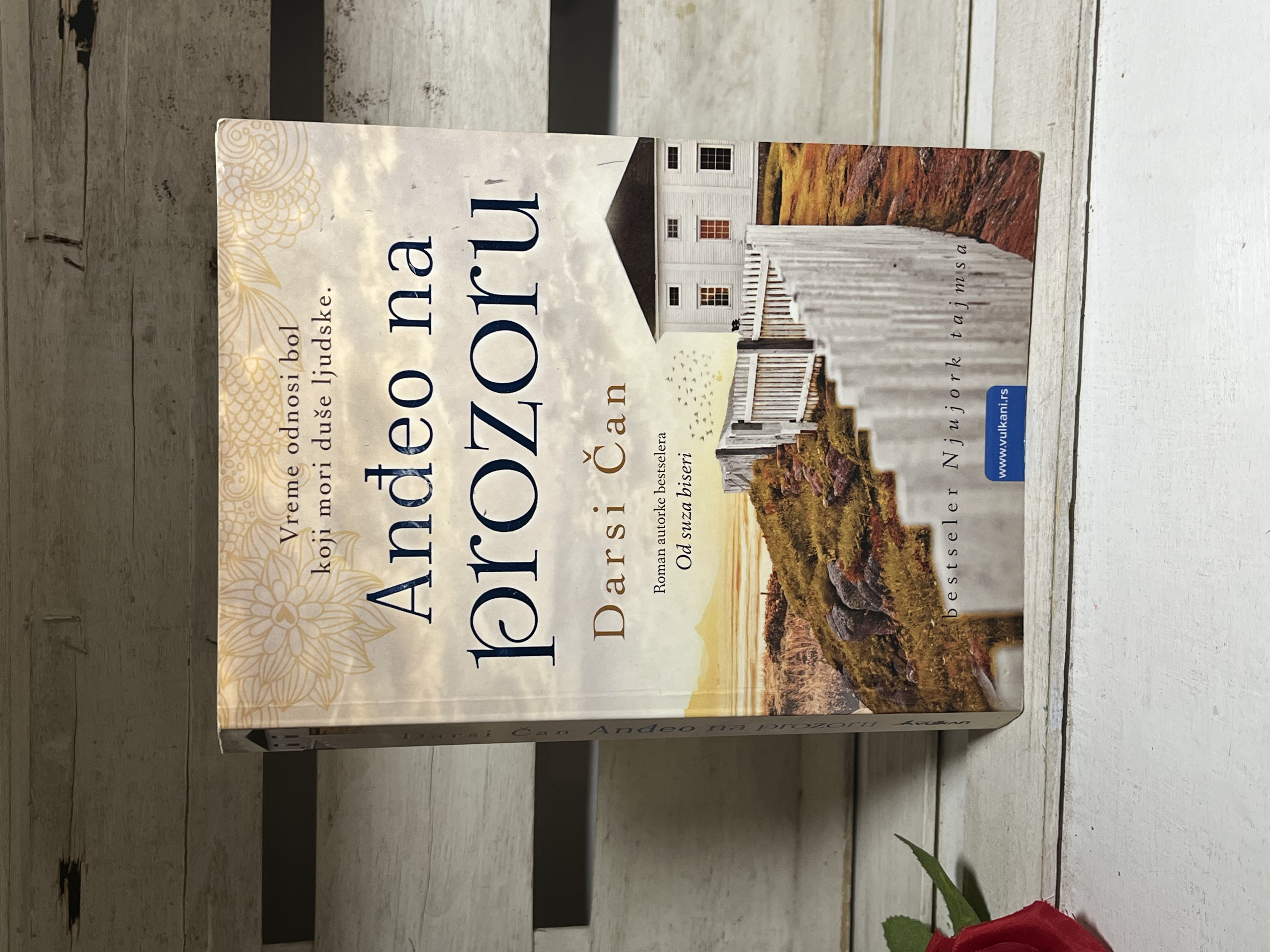 Darsi Čan - Anđeo na prozoru — Darsi Čan, polovna knjiga