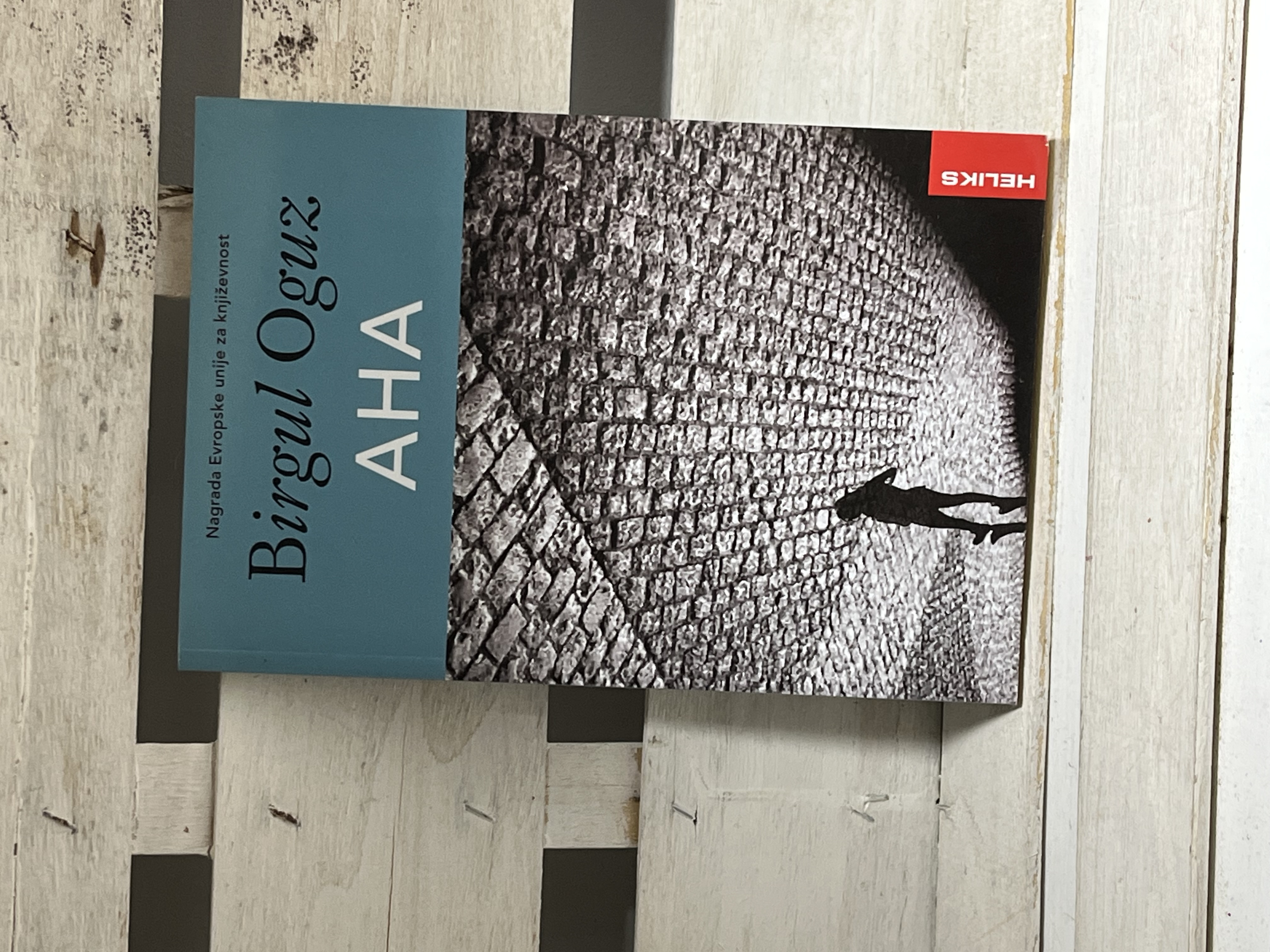Brigul Oguz Aha — Brigul Oguz, polovna knjiga