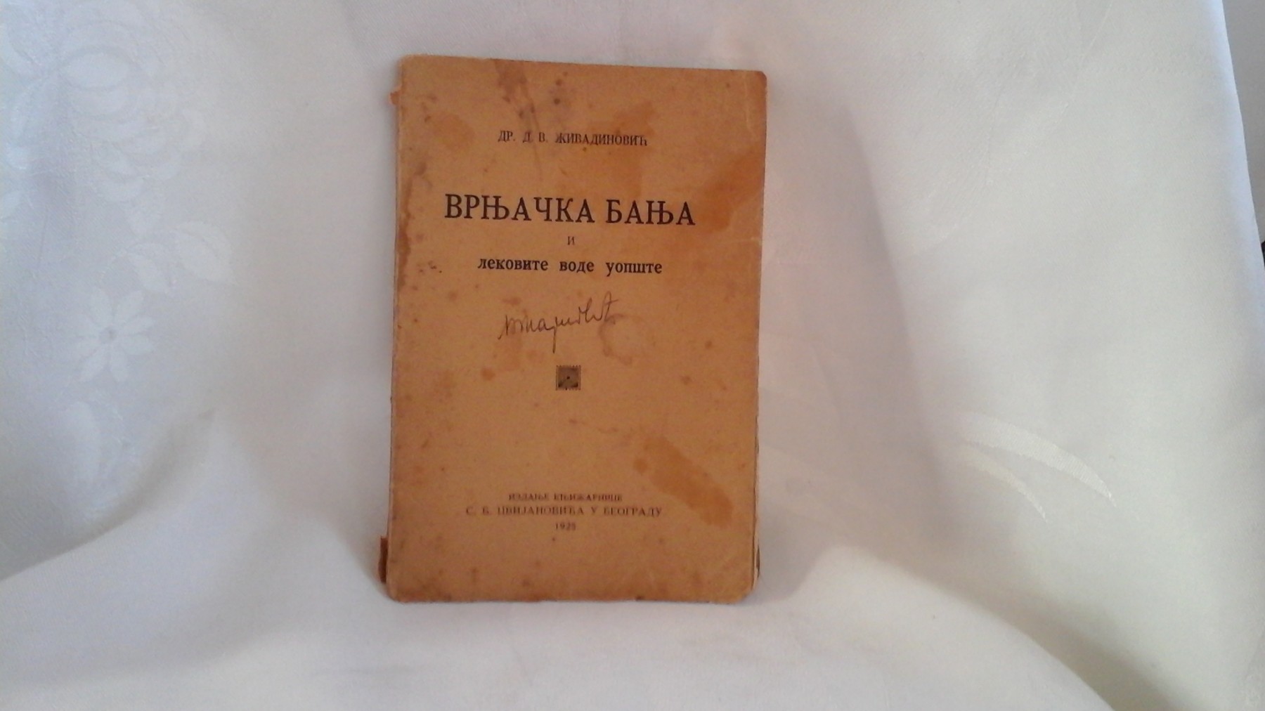 VRNJAČKA BANJA I LEKOVITE VODE UOPŠTE (S. B. Cvijanović, 1925) — Dr D. V. Živadinović, antikvarna knjiga