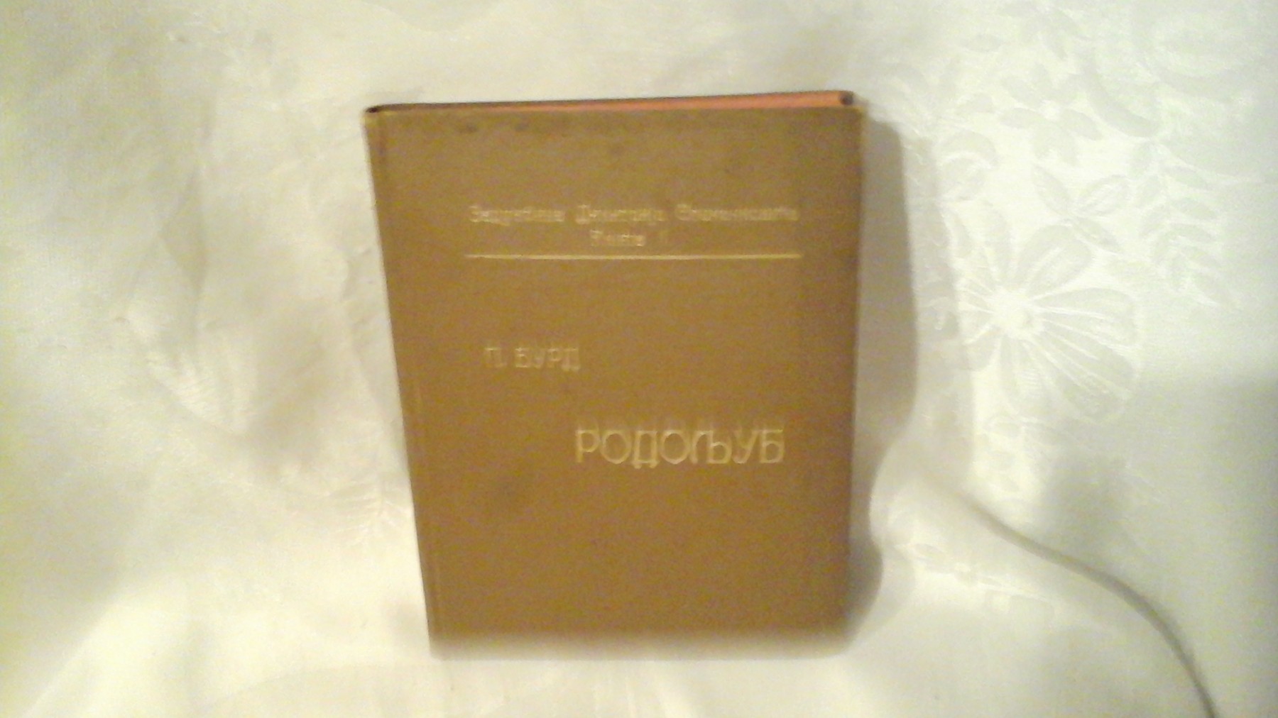 RODOLJUB — o otadžbini, rodoljublju, čestitosti, umerenosti i pravdi (1908) — P. Burd, antikvarna knjiga