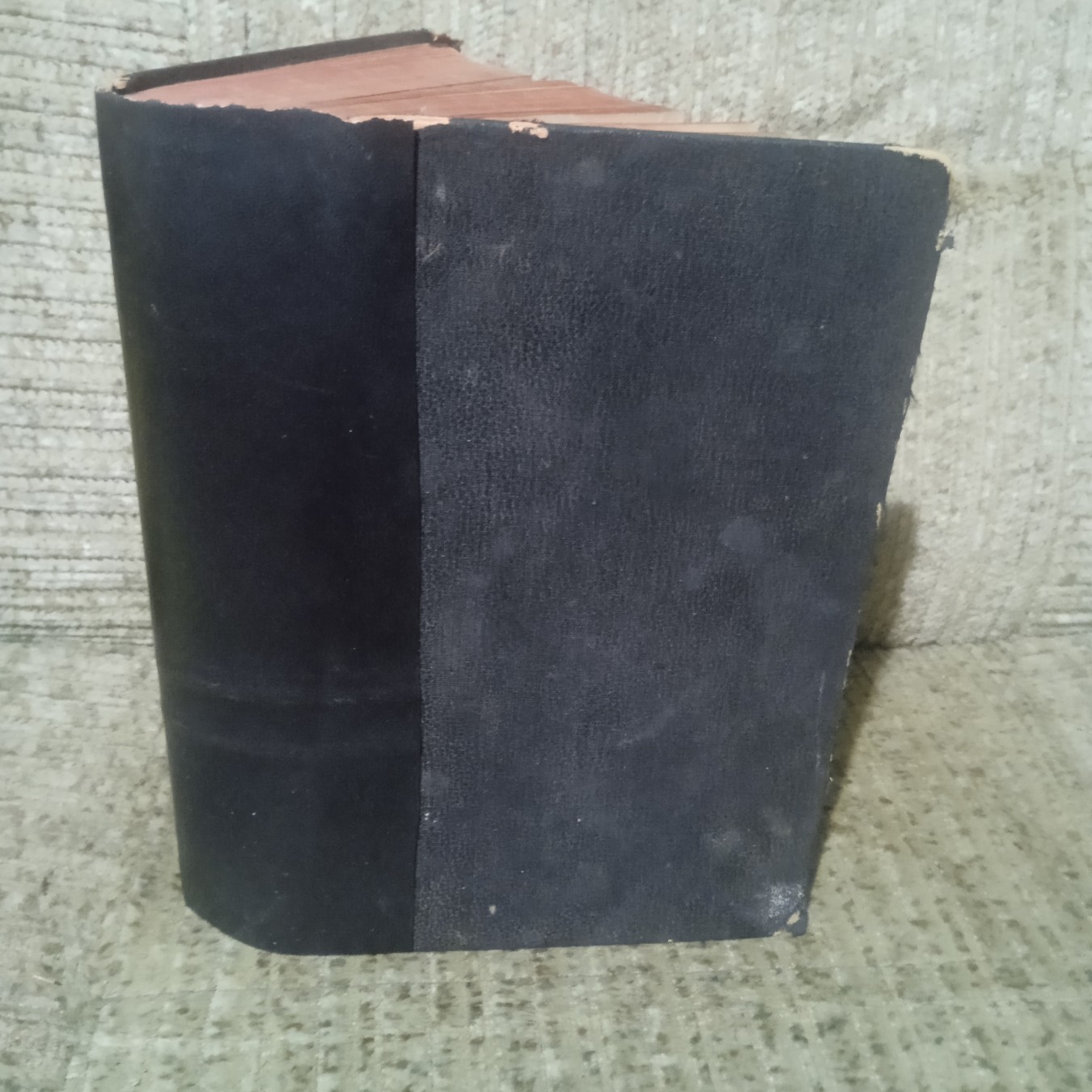 SVETO PISMO STAROGA I NOVOGA ZAVJETA — prevod Đure Daničića i Vuka Karadžića, crveni obrez (Biblijsko društvo) — Đuro Daničić, Vuk Stefanović Karadžić (prevod), antikvarna knjiga