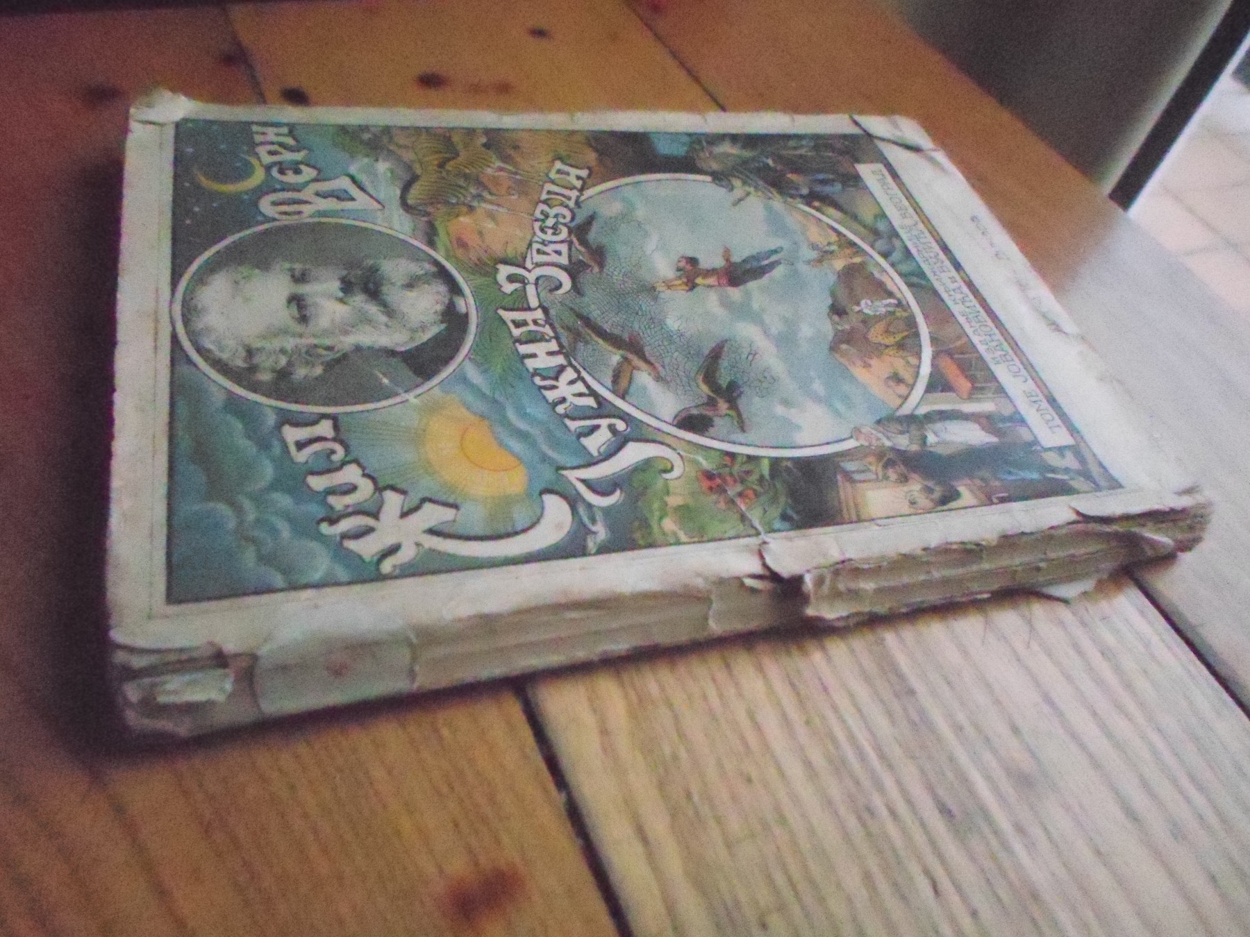 JUŽNA ZVEZDA ILI DIJAMANTSKA ZEMLJA — roman sa više slika (Toma Jovanović i Vujić, „Zeleni venac", Beograd) — Žil Vern, antikvarna knjiga