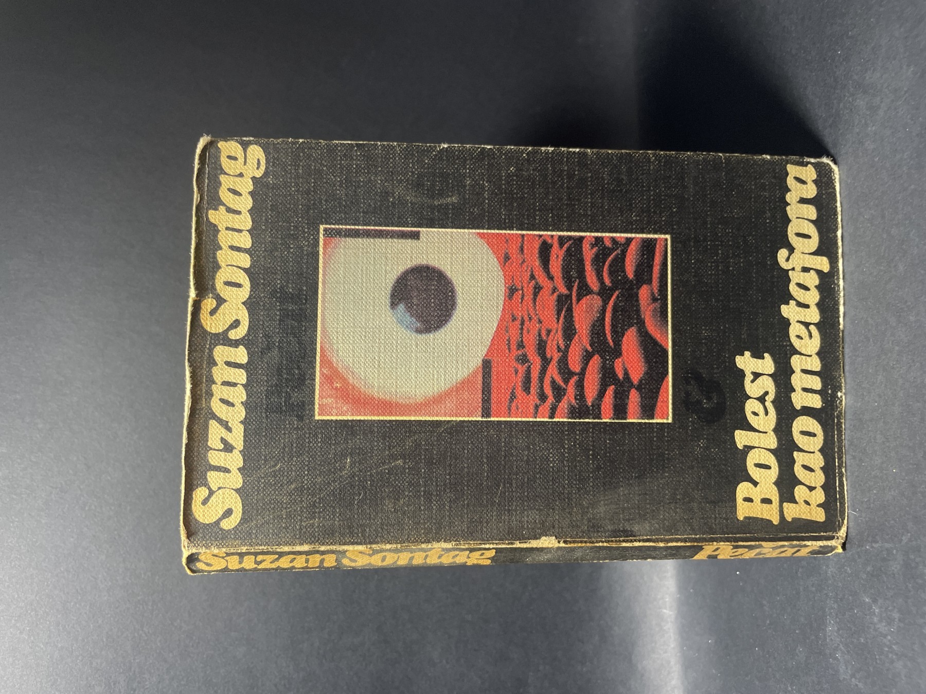 Bolest kao metafora — Suzan Sontag