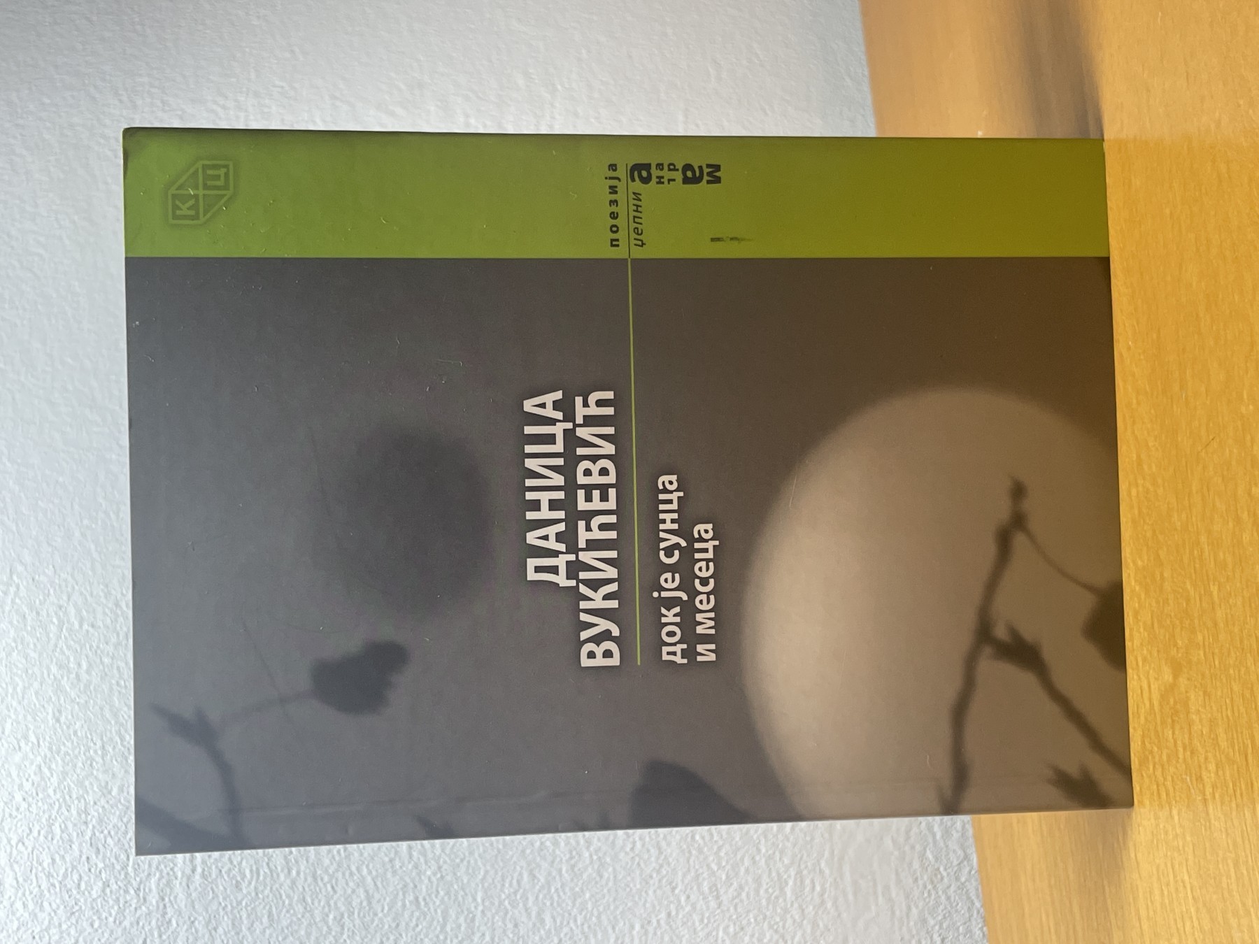 Dok je sunca i meseca — Danica Vukićević
