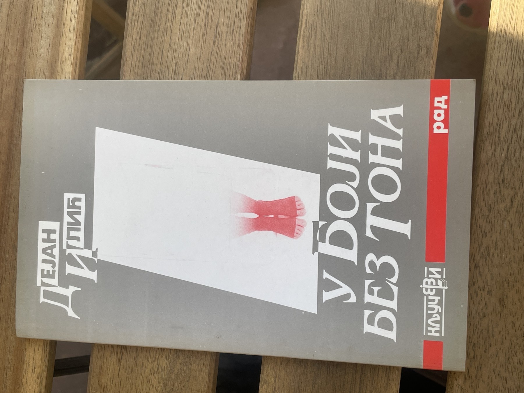 U boji bez tona — Dejan Ilić
