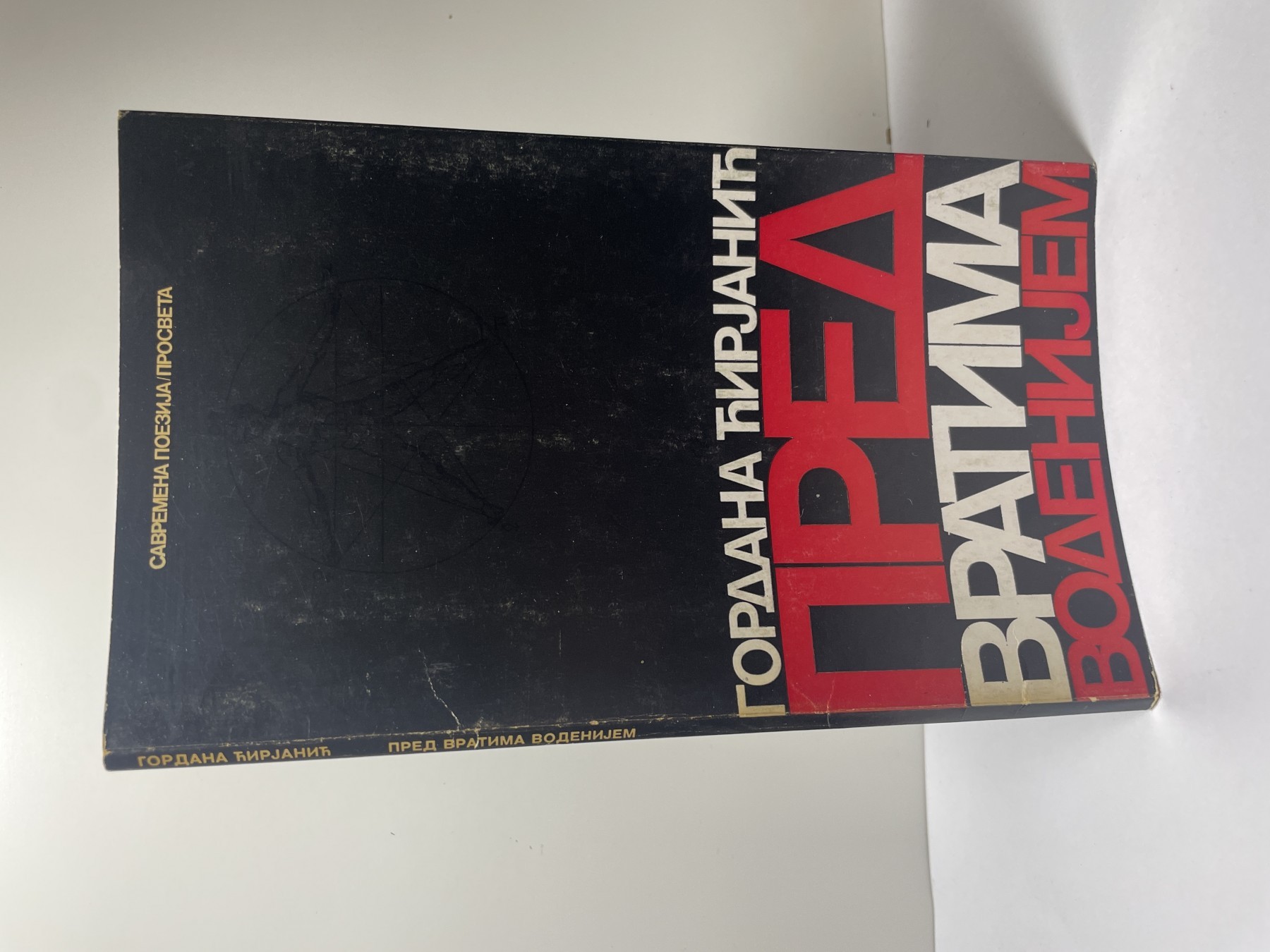Pred vratima vodenijim — Gordana Ćirjanić