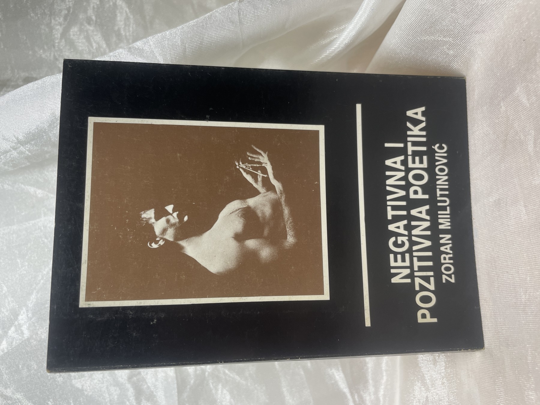 Negativna i pozitivna poetika — Zoran Milutinović