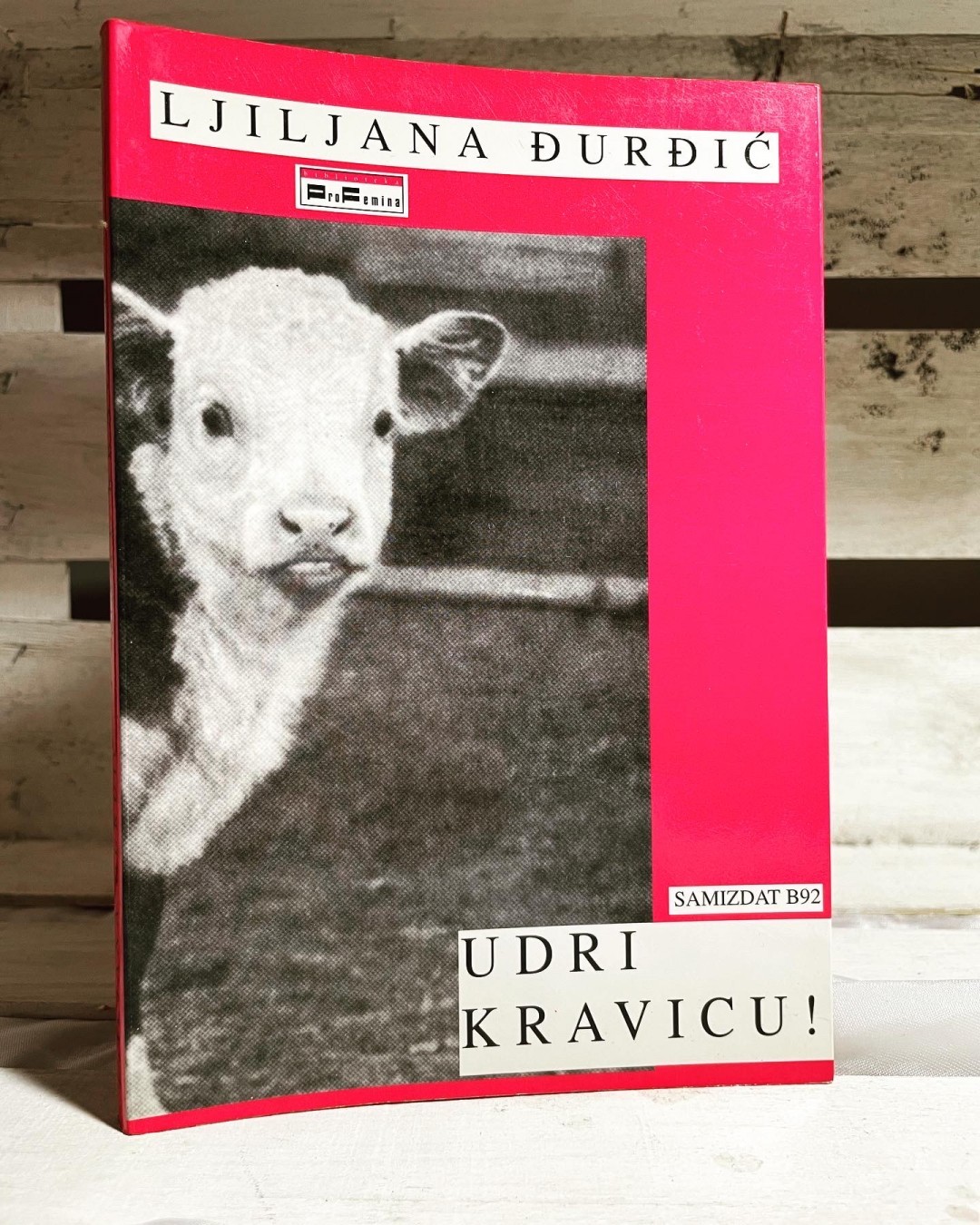 Udri kravicu — Ljiljana Đurđić