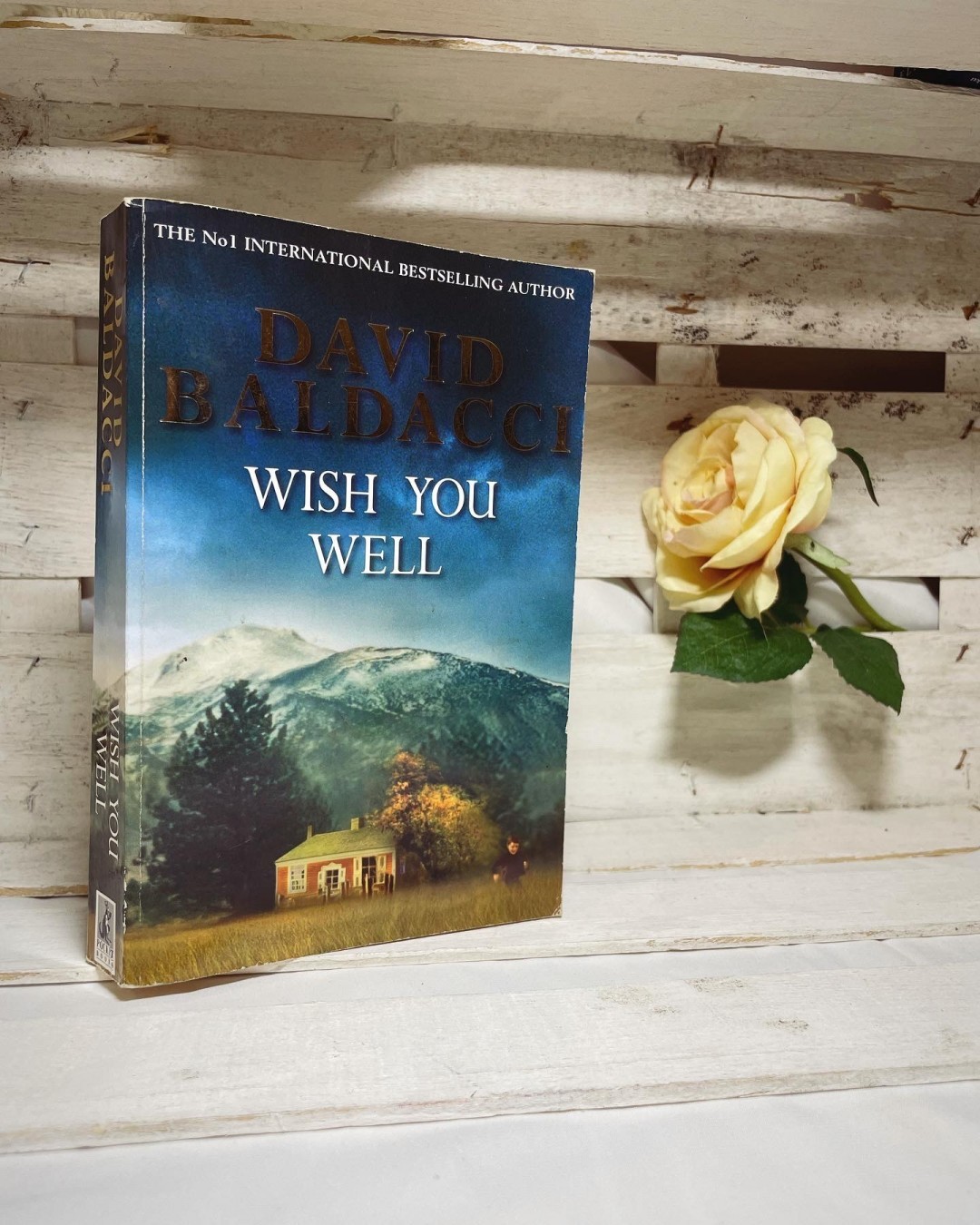 Wish You Well — David Baldacci