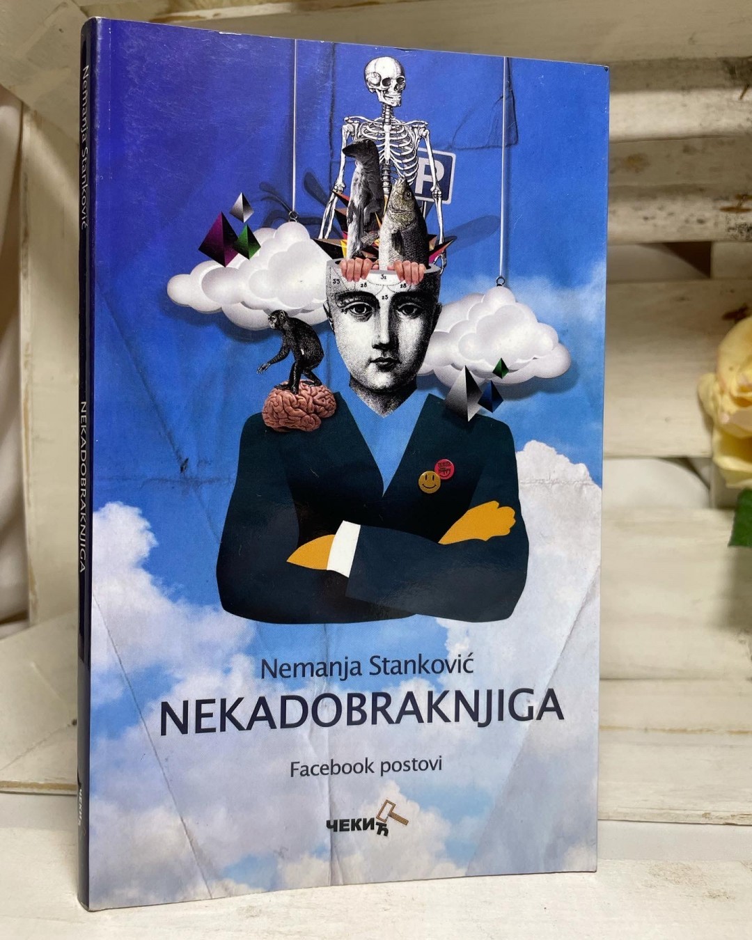 Nekadobraknjiga — Nemanja Stanković