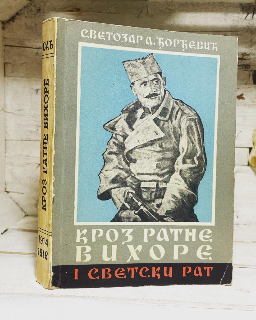 Kroz ratne vihore — srpska avijatika — Svetozar Đorđević