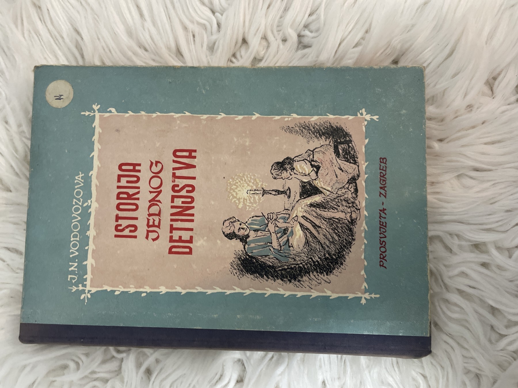 Istorija jednog detinjstva — J. N. Vodovozova