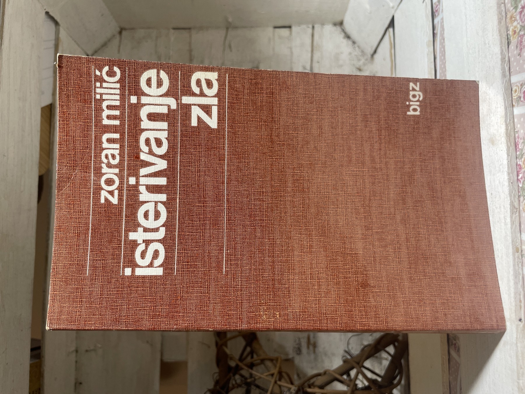 Isterivanje zla — Zoran Milić