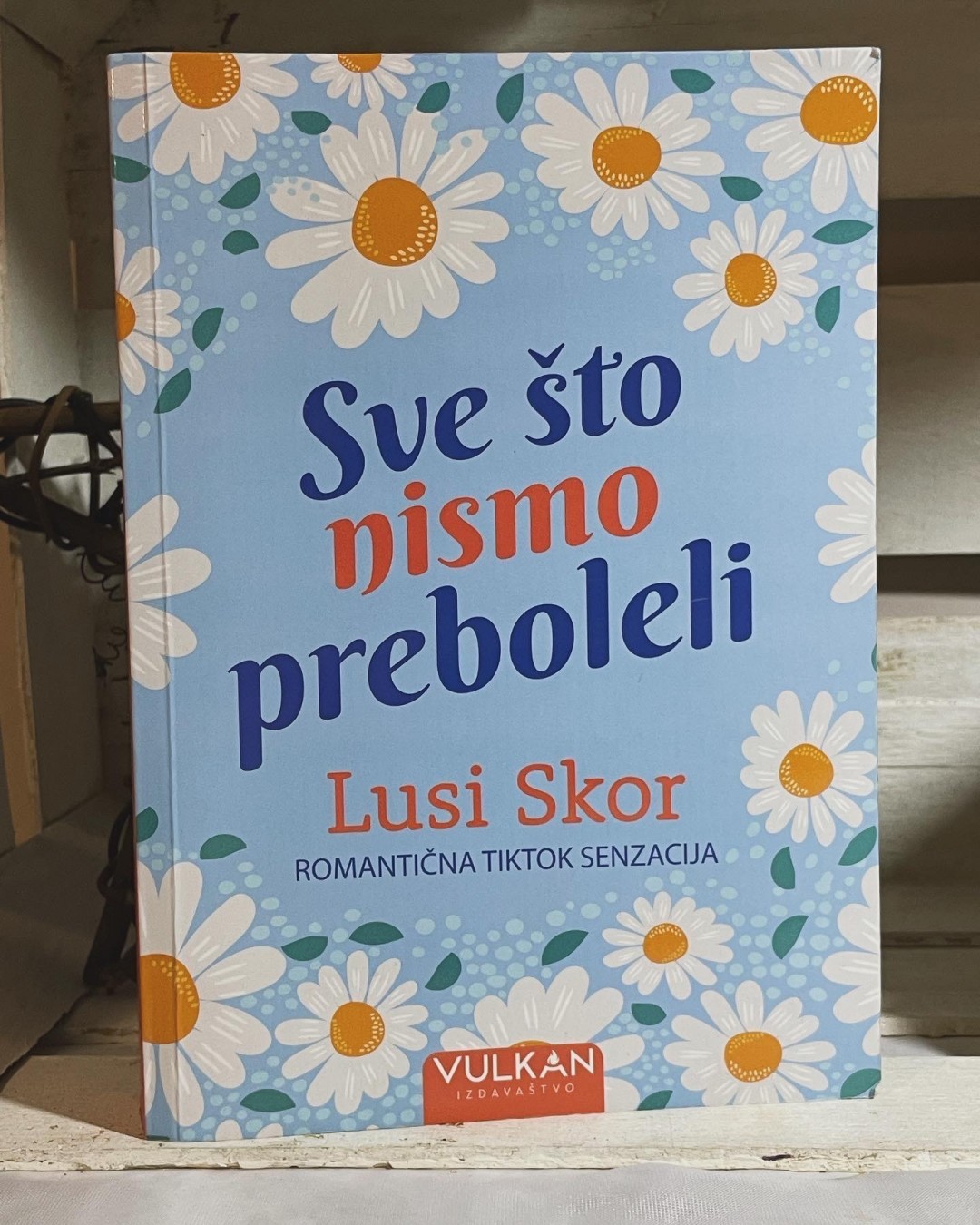 Sve što nismo preboleli — Lusi Skor