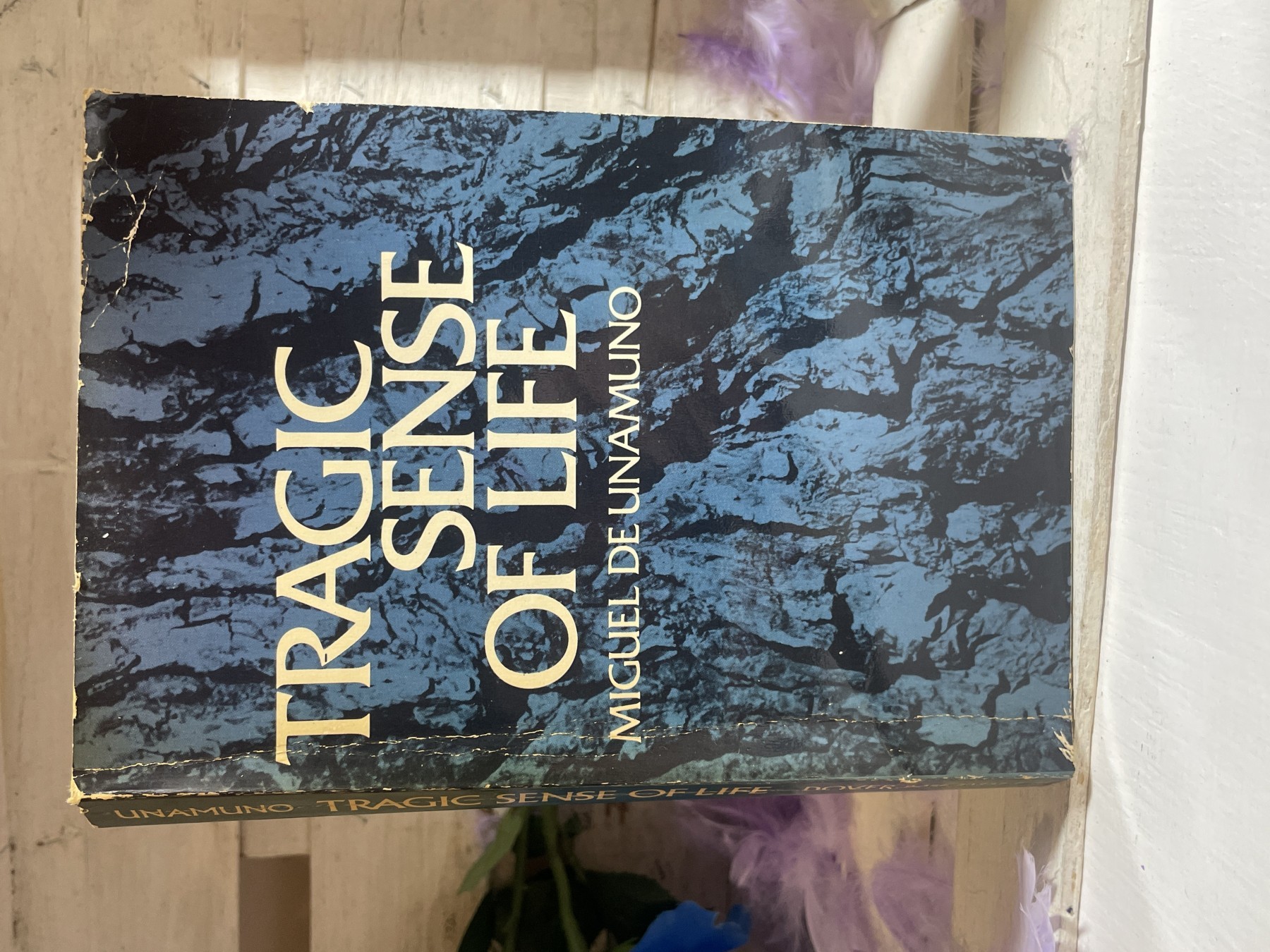 Tragic Sense of Life — Miguel de Unamuno