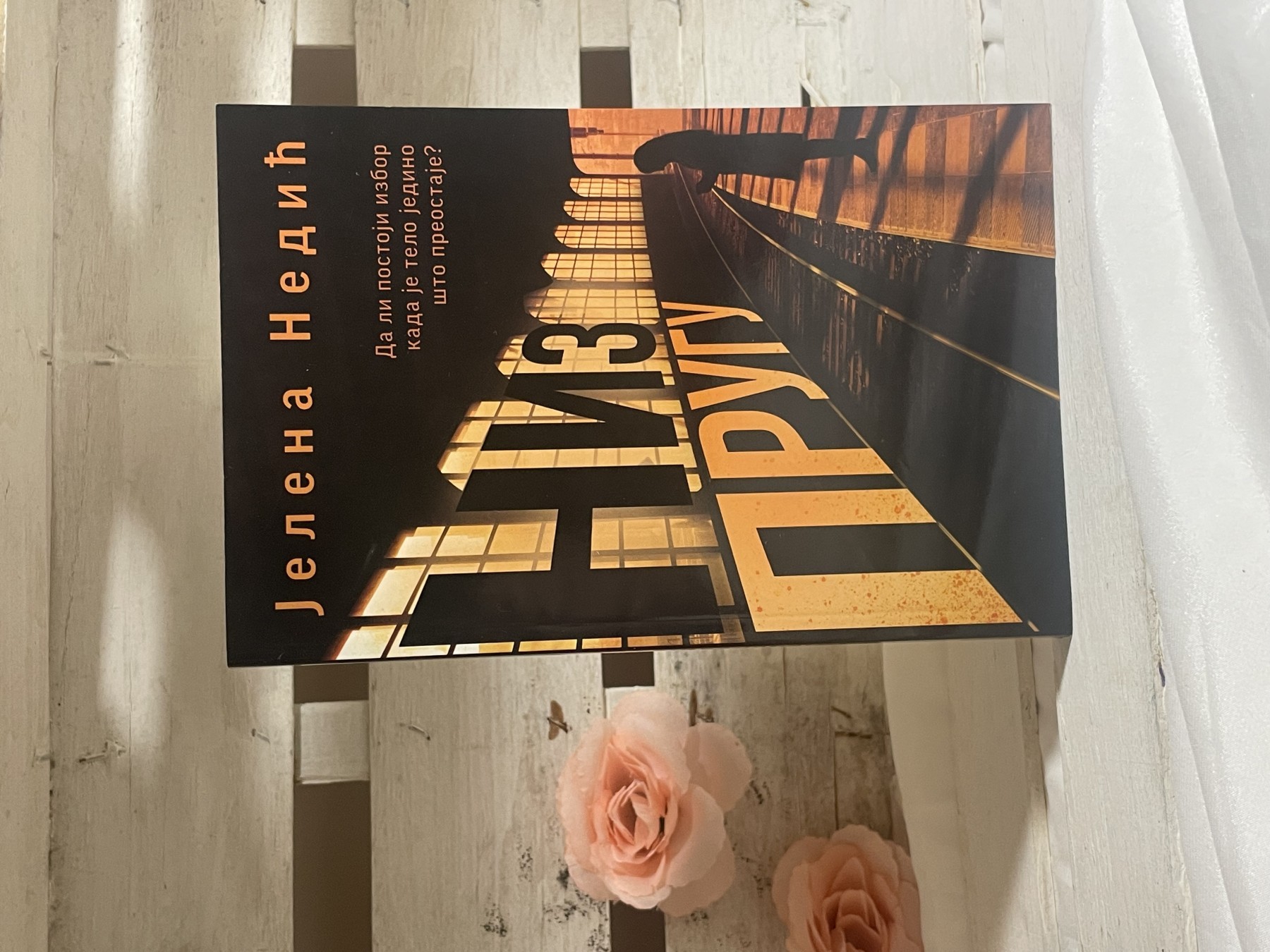 Niz prugu — Jelena Nedić