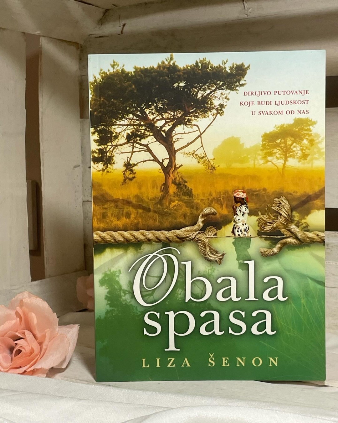 Obala spasa — Liza Šenon