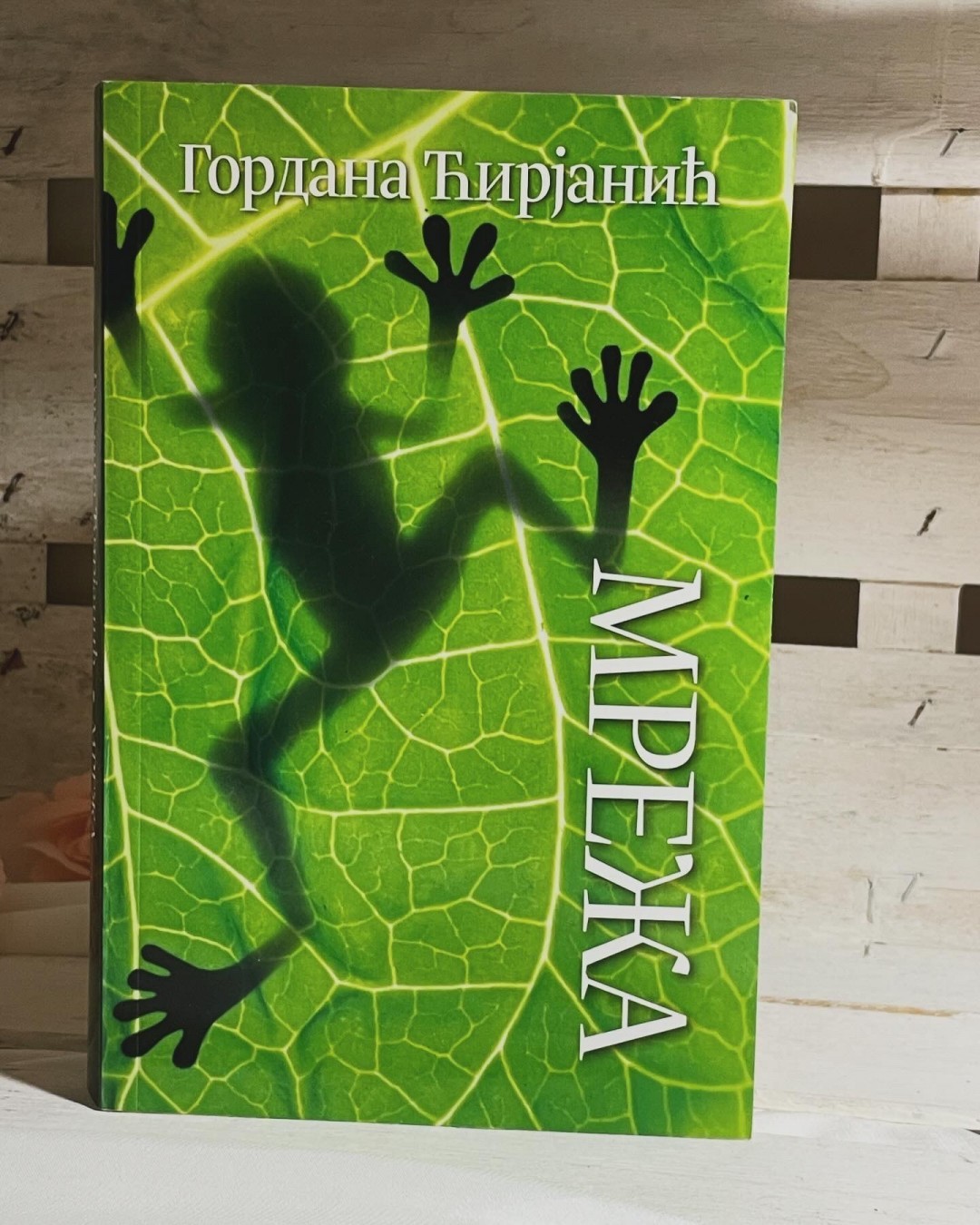 Mreža — Gordana Ćirjanić