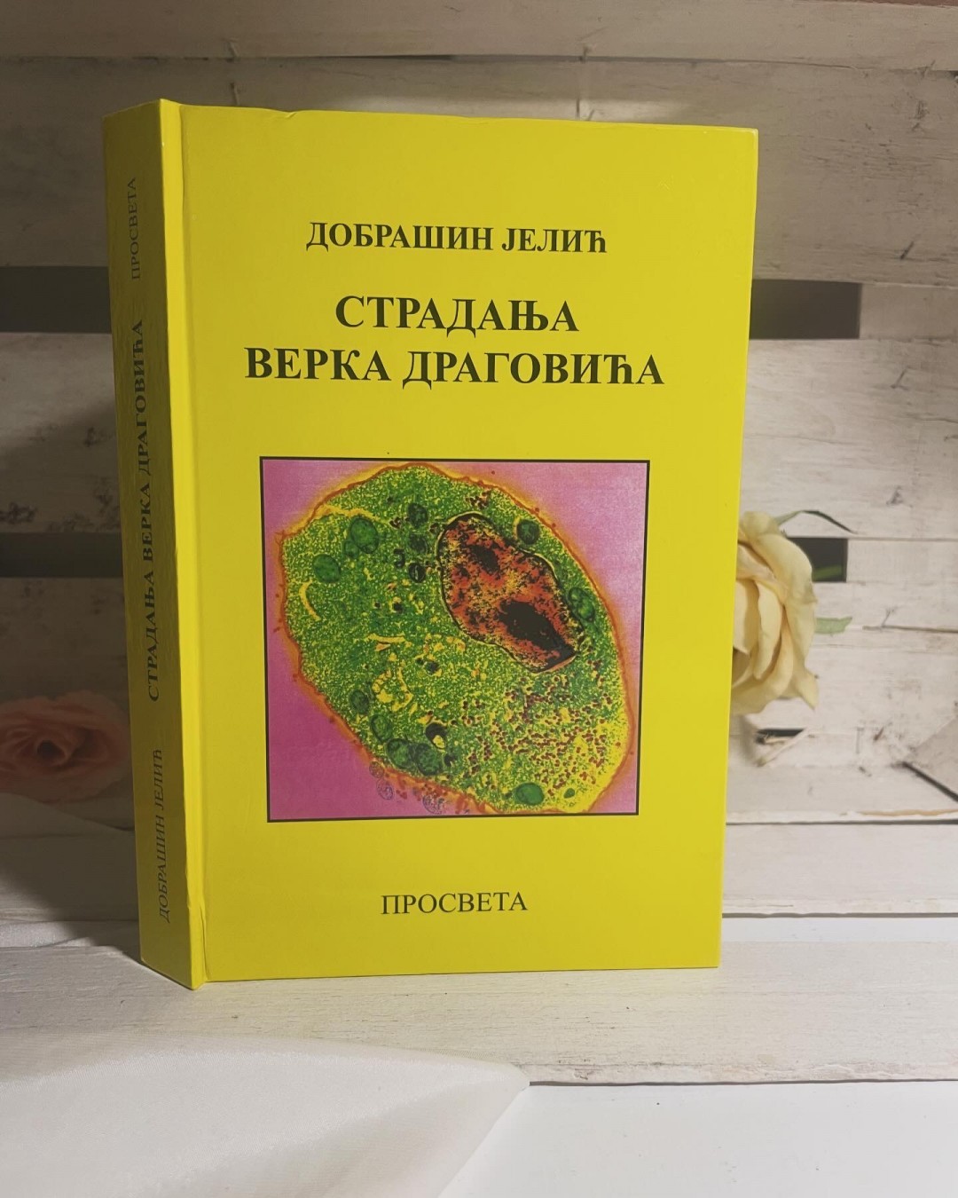 Stradanja Verka Dragovića — Dobrašin Jelić