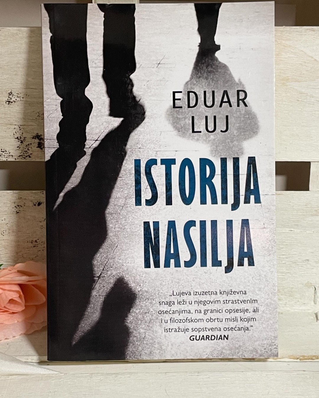 Istorija nasilja — Eduar Luj