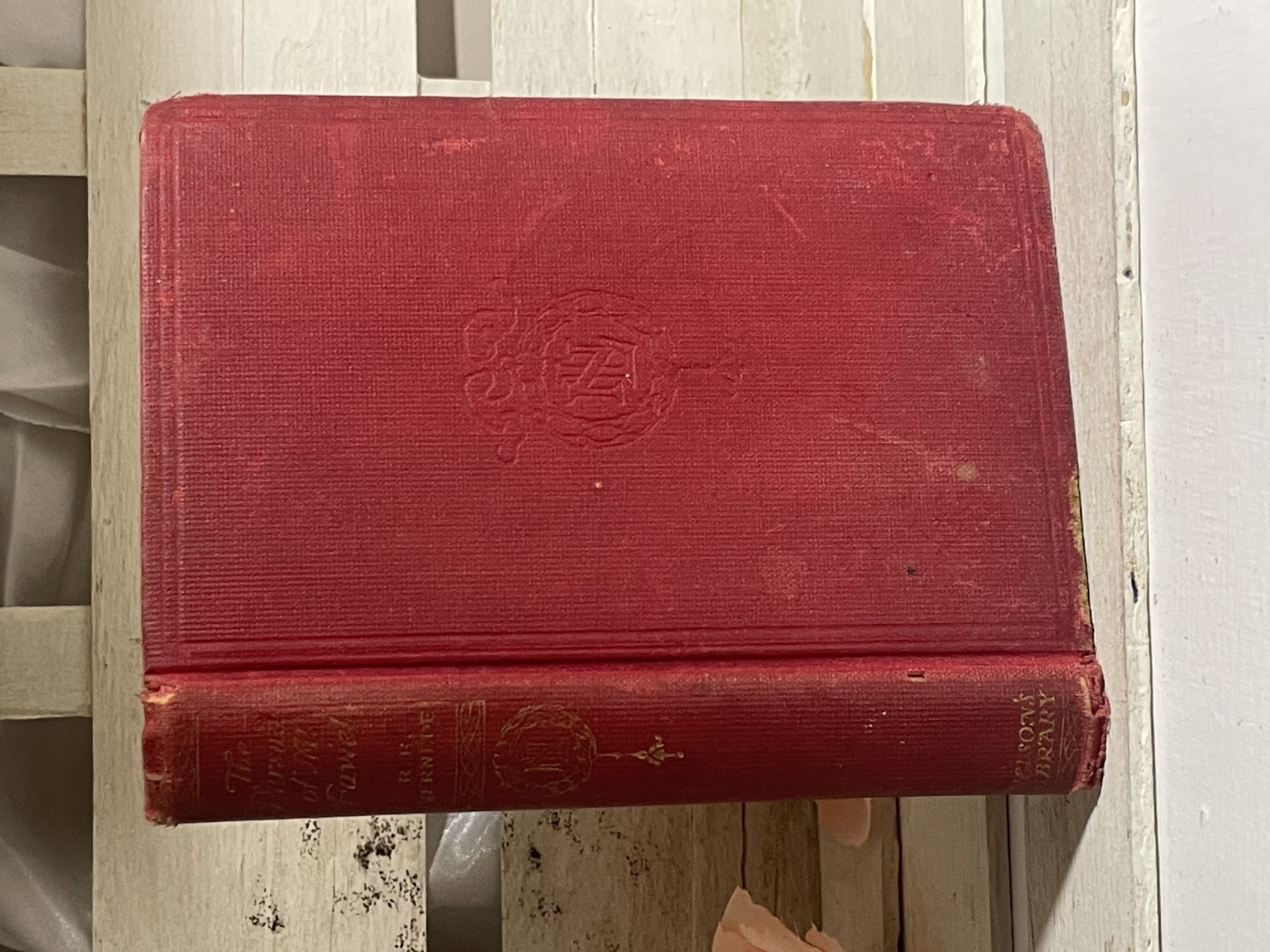 The Pursuit of Mr. Faviel — R. E. Vernede