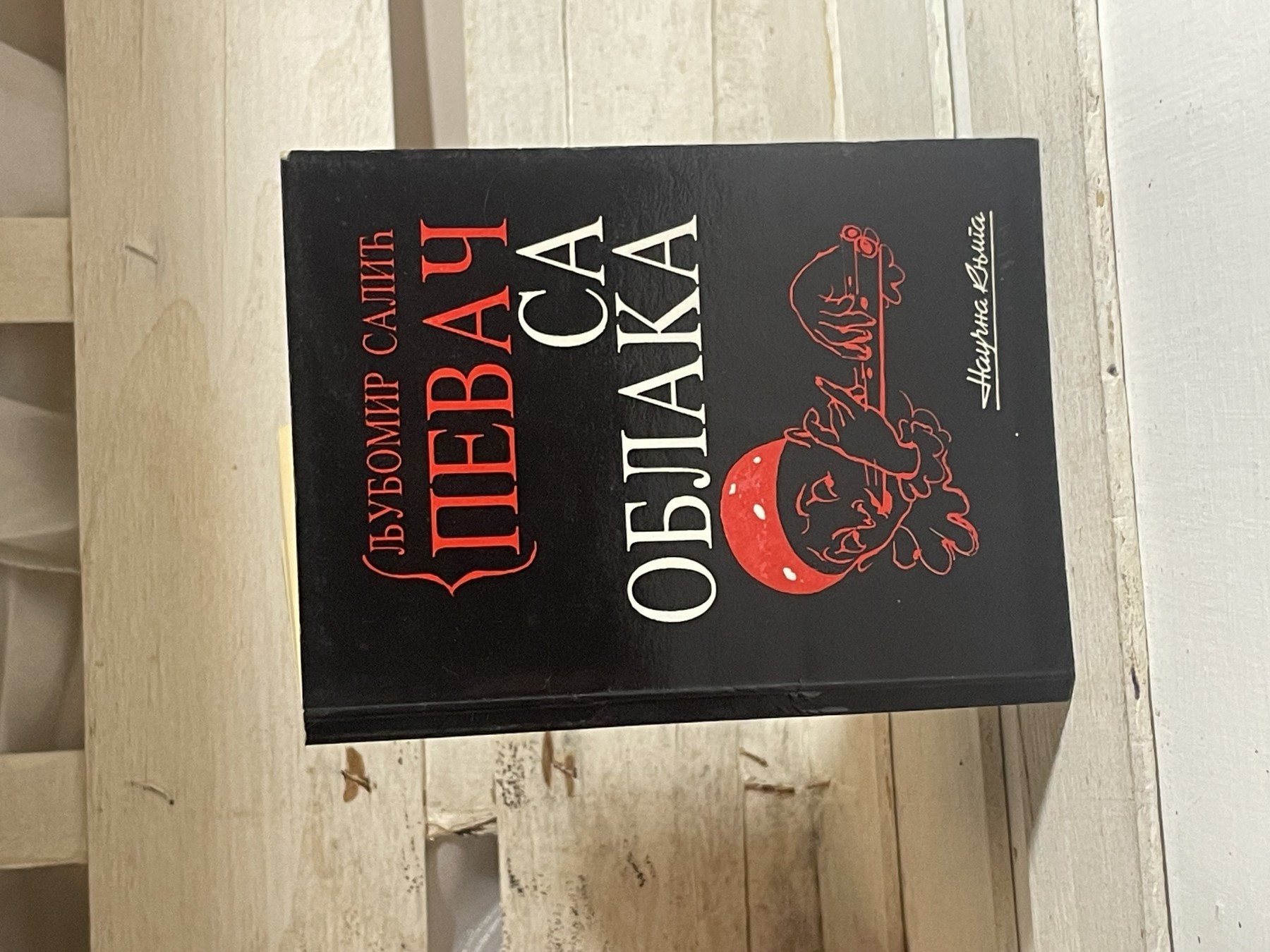 Pevač sa oblaka — Ljubomir Salić