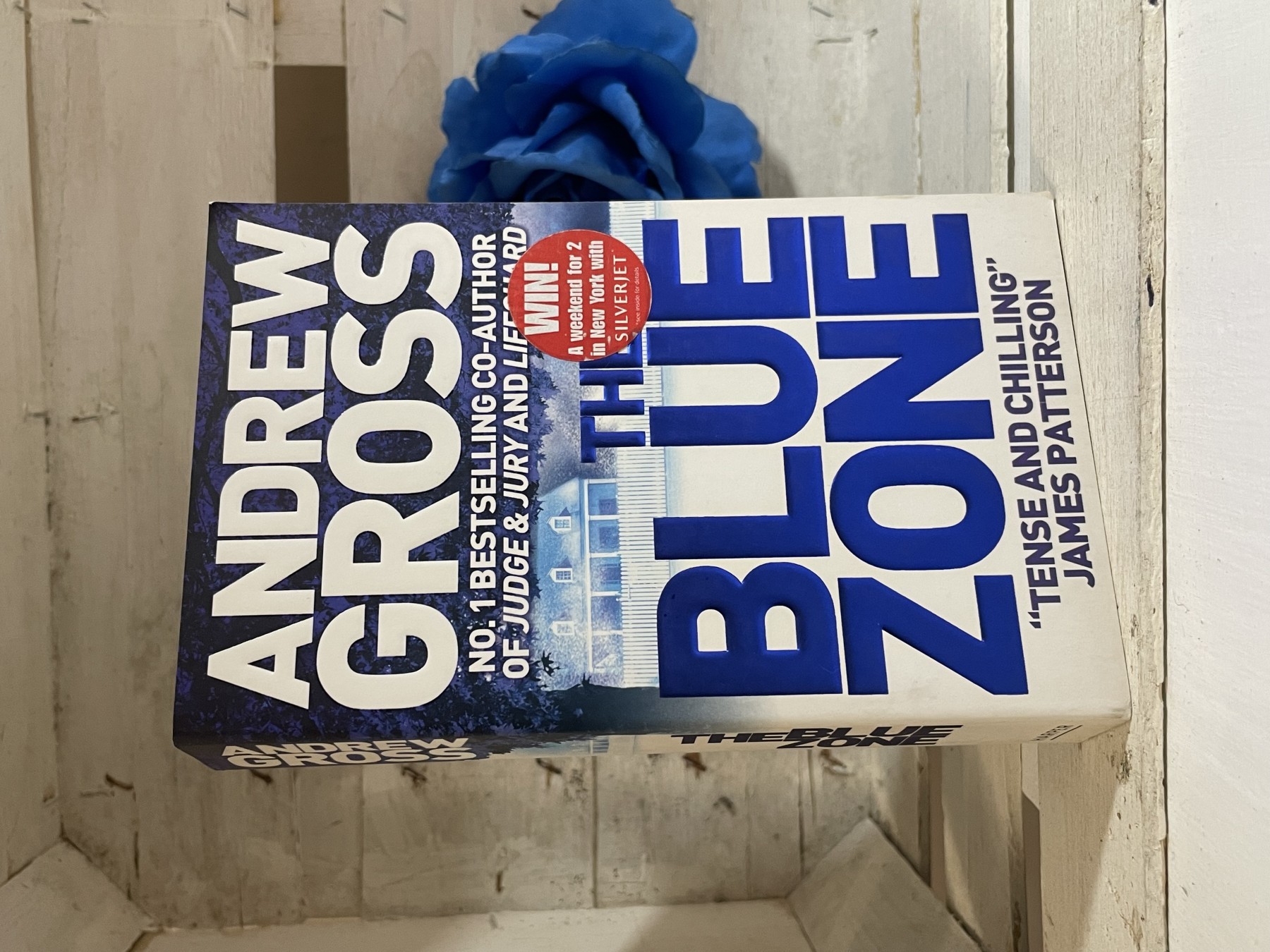 The Blue Zone — Andrew Gross