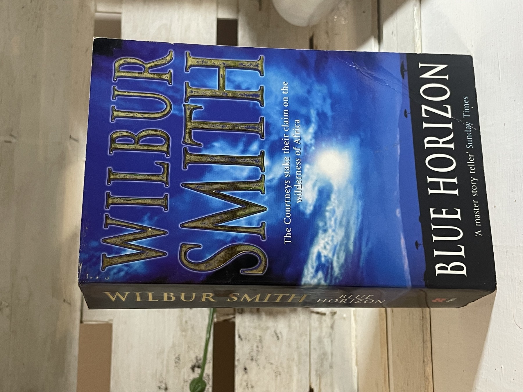Blue Horizon — Wilbur Smith