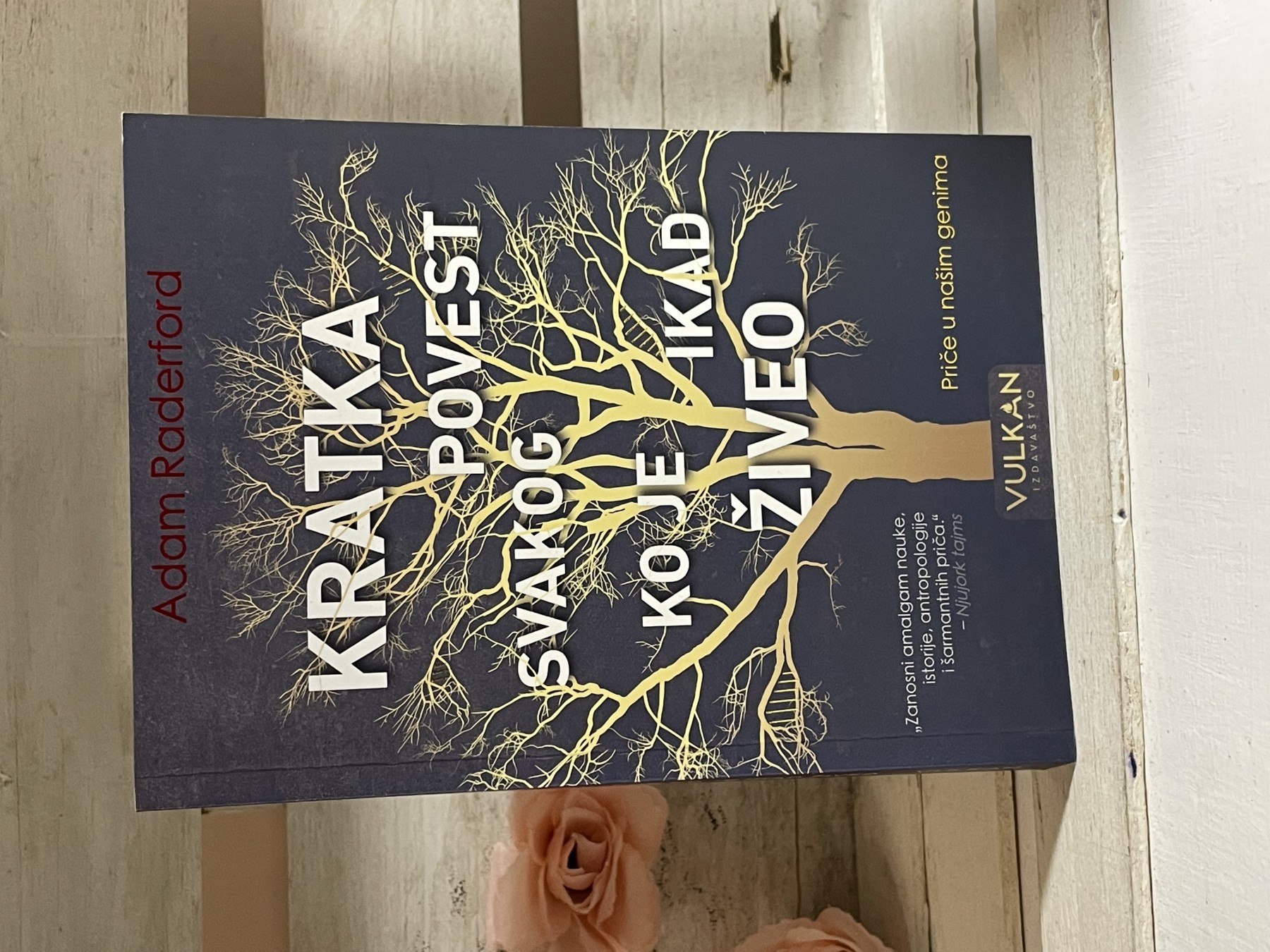Kratka povest svakog ko je ikad živeo — Adam Raderford