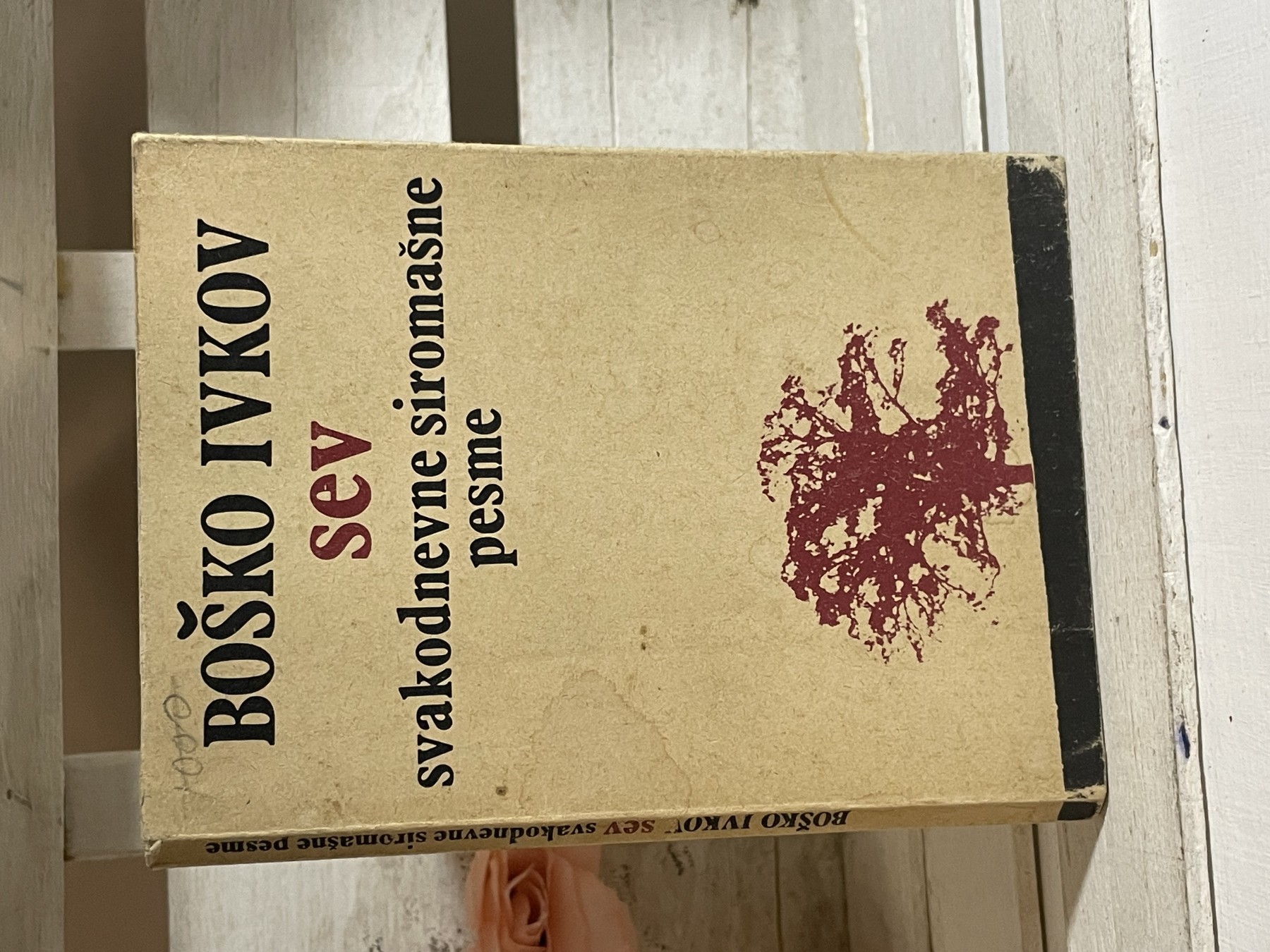 Svakodnevne siromašne pesme — Boško Ivkov