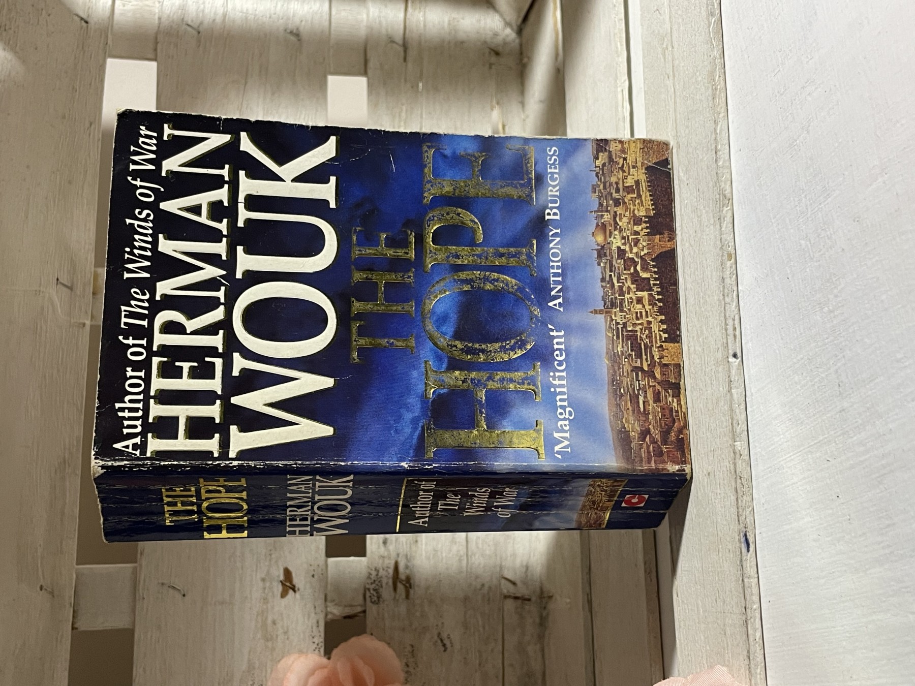 The Hope — Herman Wouk
