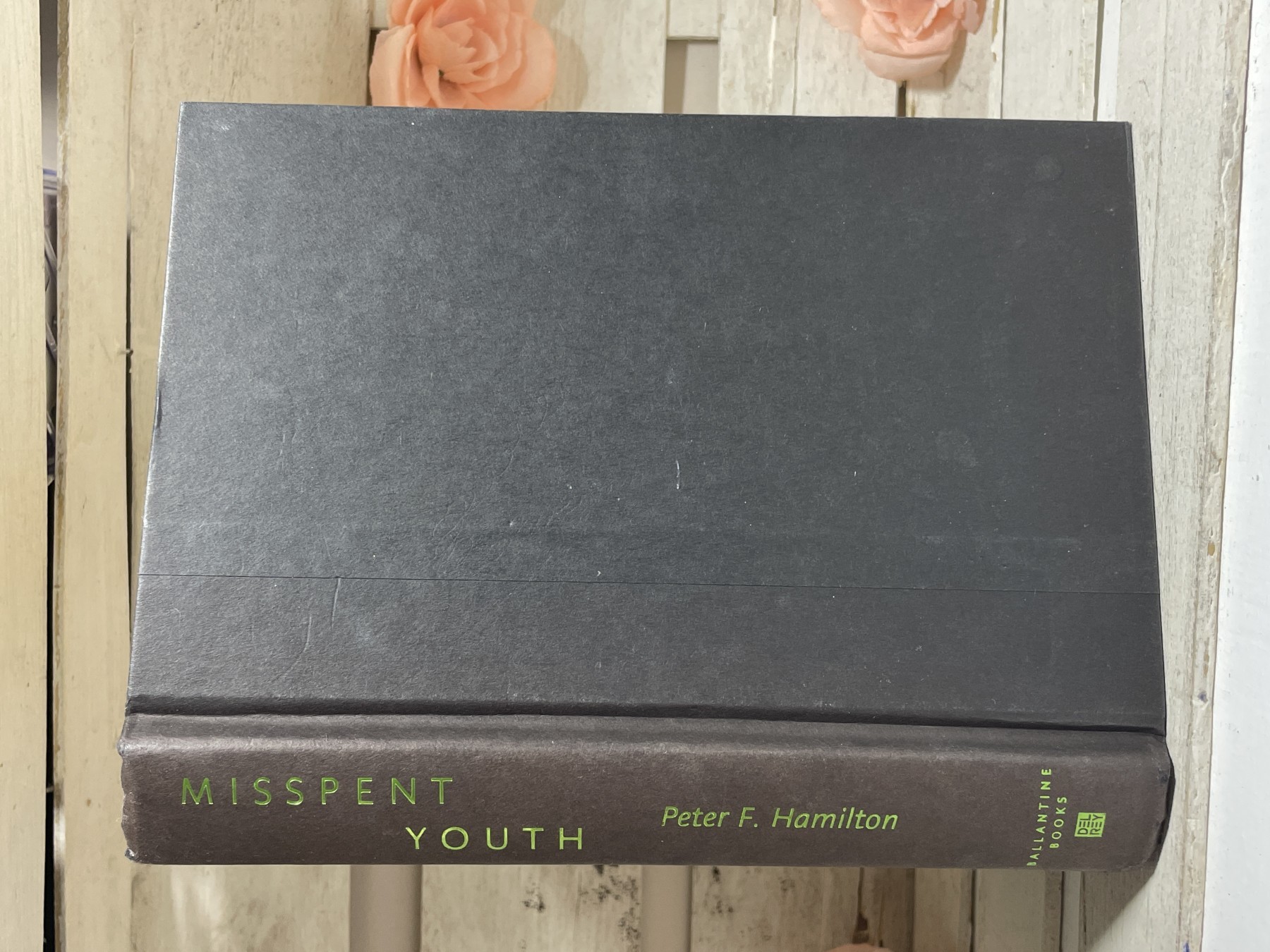 Misspent Youth — Peter F. Hamilton