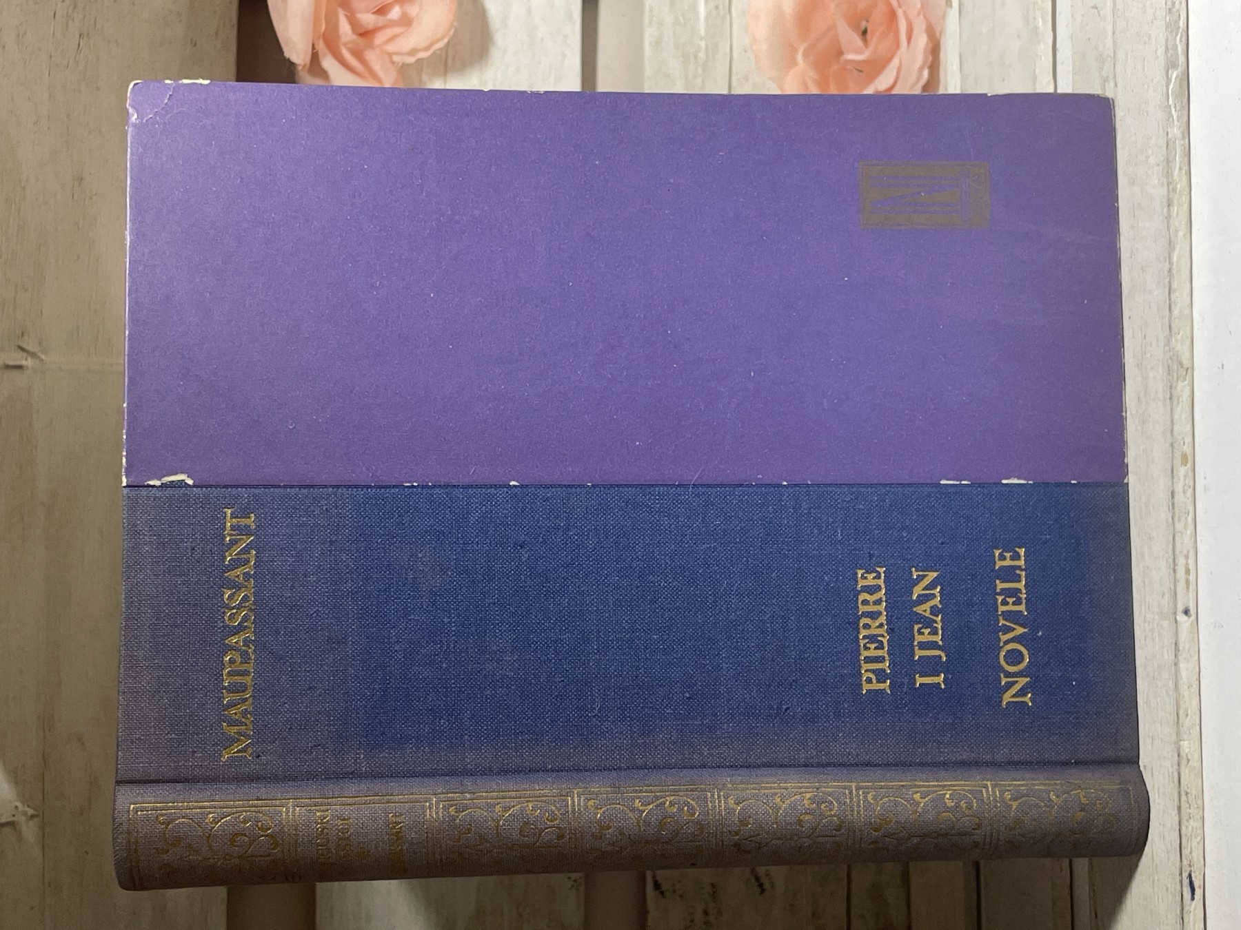 Novele — Guy de Maupassant