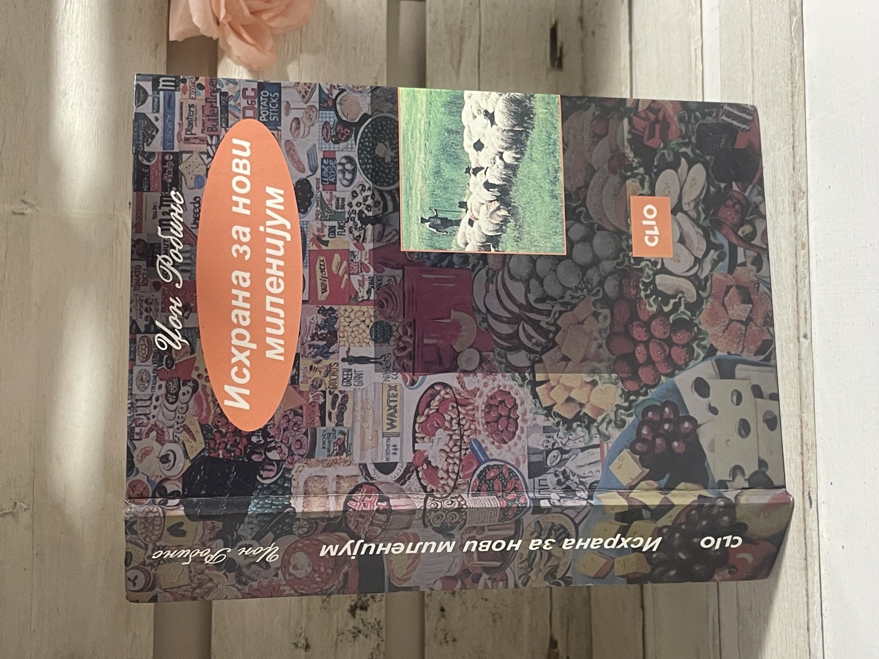 Ishrana za novi milenijum — Džon Robins