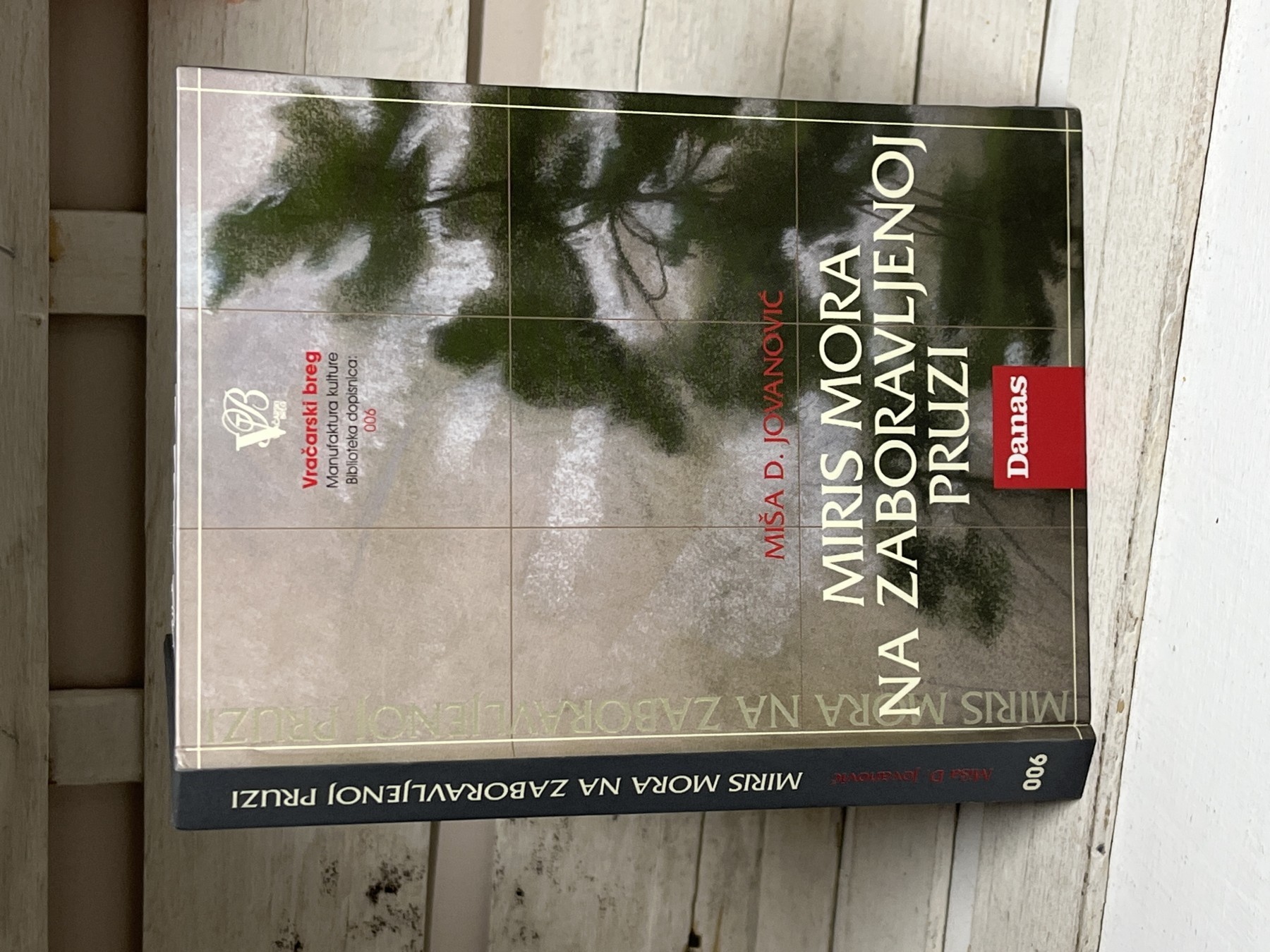 Miris mora na zaboravljenoj pruzi — Miša Jovanović