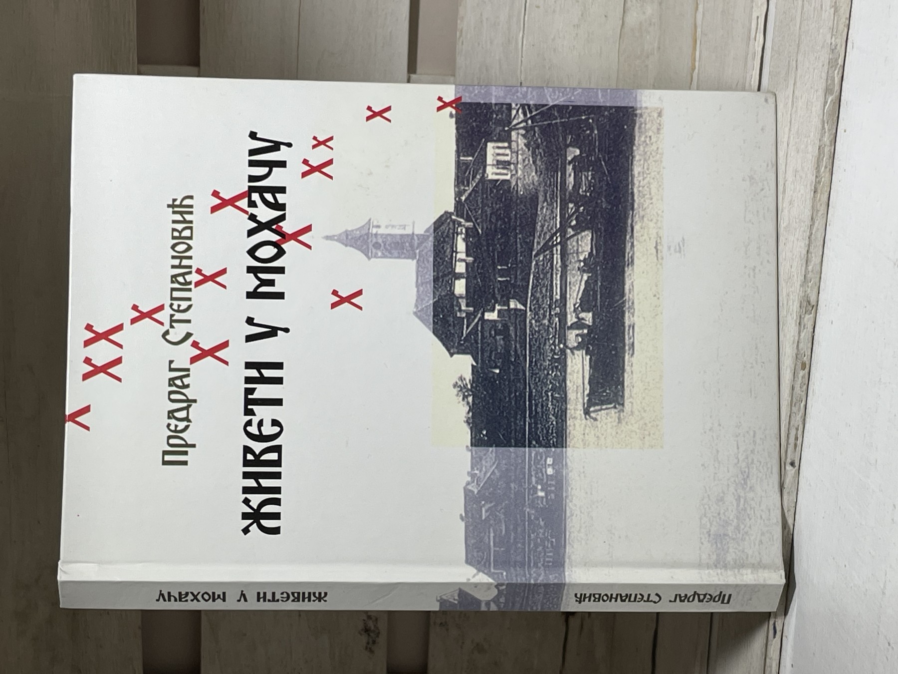 Živeti u Mohaču — Predrag Stepanović