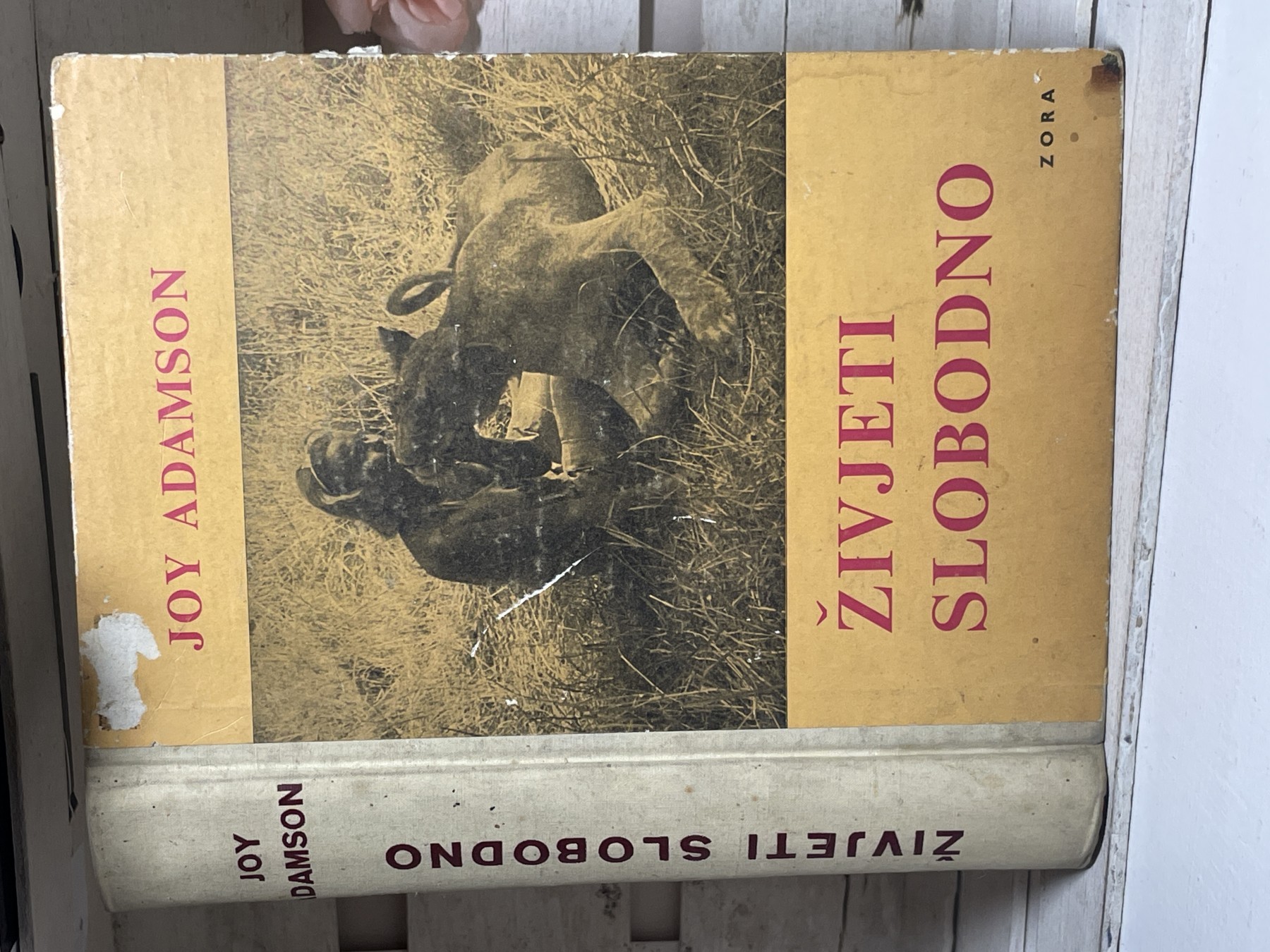 Živjeti slobodno — Džoj Adamson