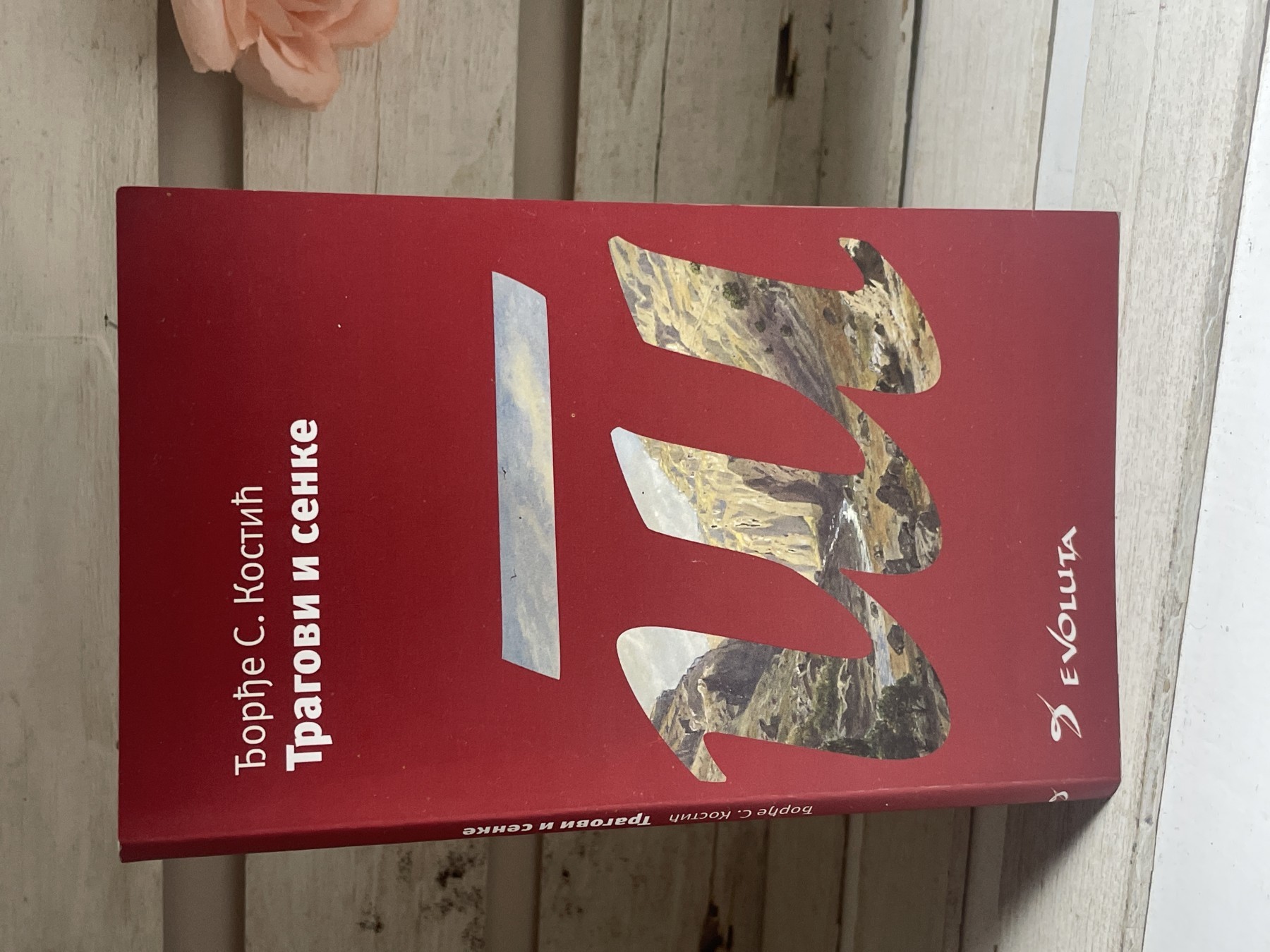 Tragovi i senke — Đorđe S. Kostić