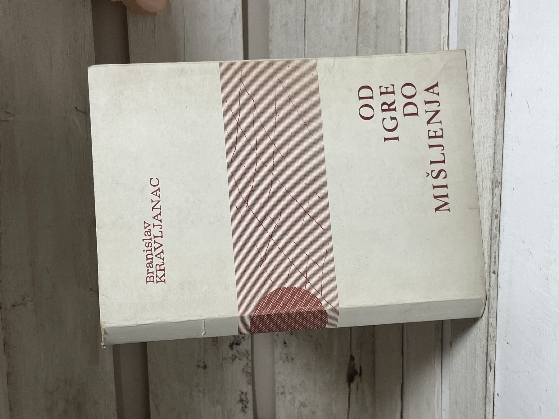 Od igre do mišljenja — Branislav Kravljanac
